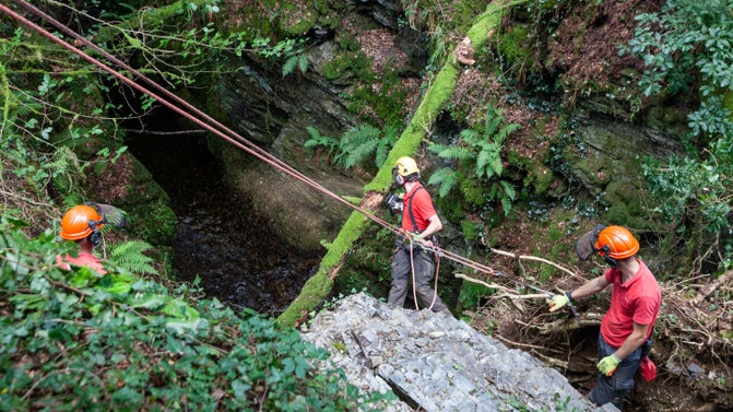 Three rangers working from ropes on the steep slopes of Lydford Gorge, Devon