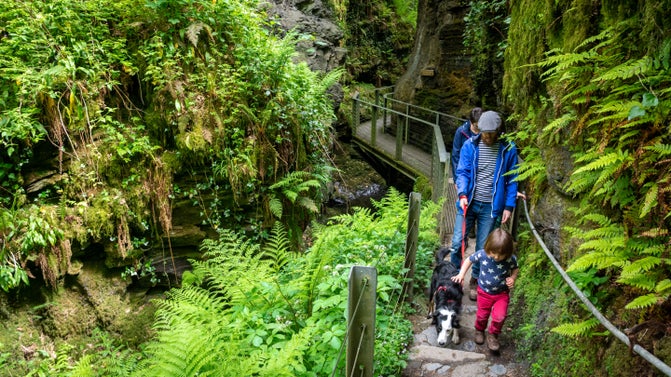 Family with two children walking their dog on a lead up some of the narrow steps at Lydford Gorge, Devon
