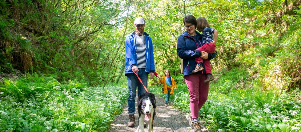 Family with two children and a dog on a short lead walking along the railway path in spring with wild garlic in flower, Lydford Gorge, Devon