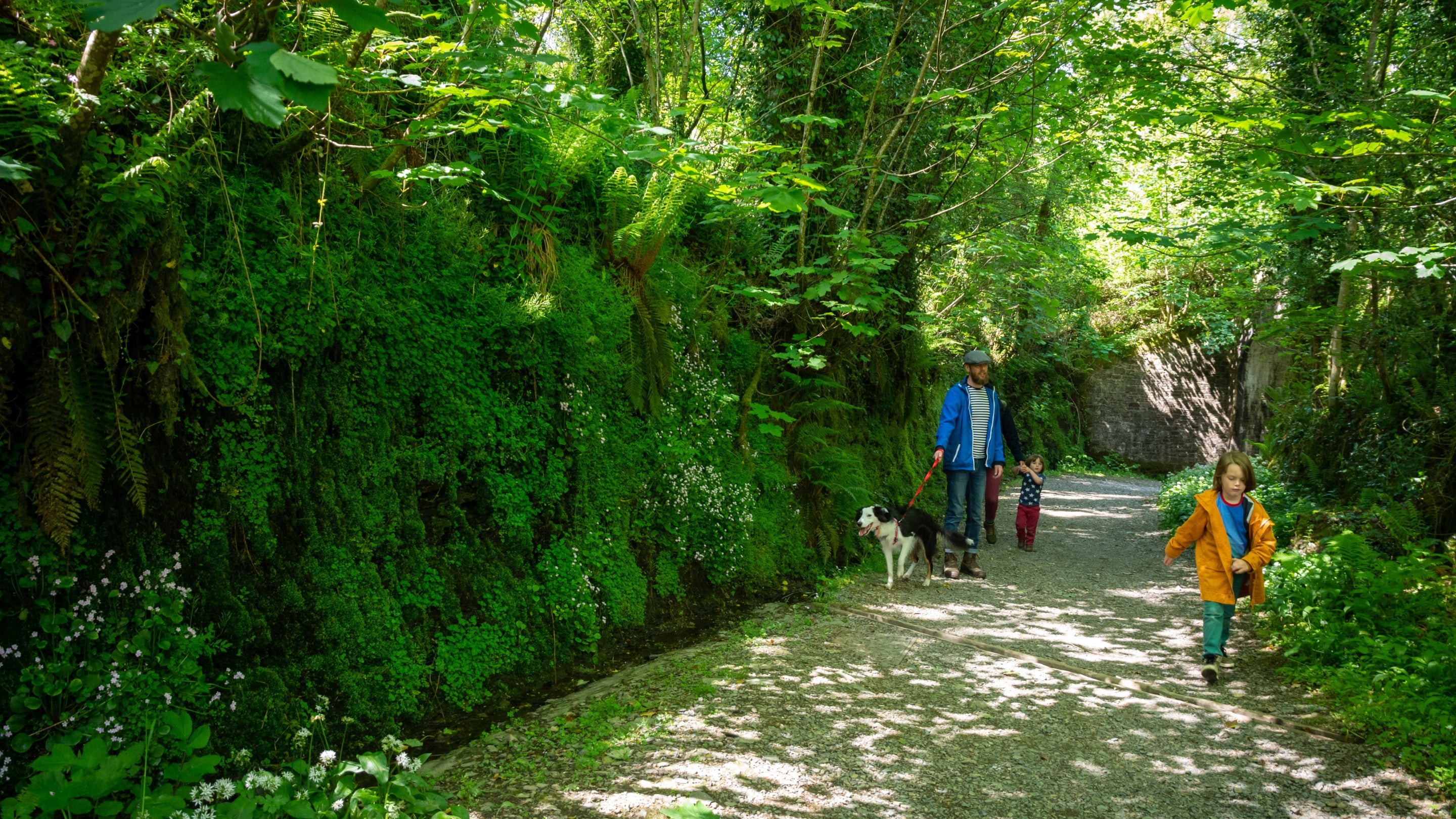 Family with dog walking towards camera along path with a cliff covered with green plants and flowing water, with dappled sunlight filtering through the trees above.