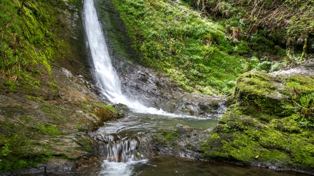 The base of Whitelady Waterfall in spring as it flows down the moss covered rock face into a deep pool, Lydford Gorge, Devon