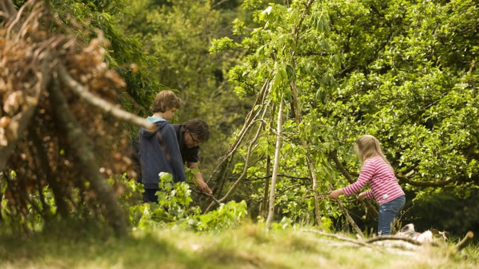 A man and two children build a den amid trees at Lydford Gorge, Devon, making a conical shape with long branches