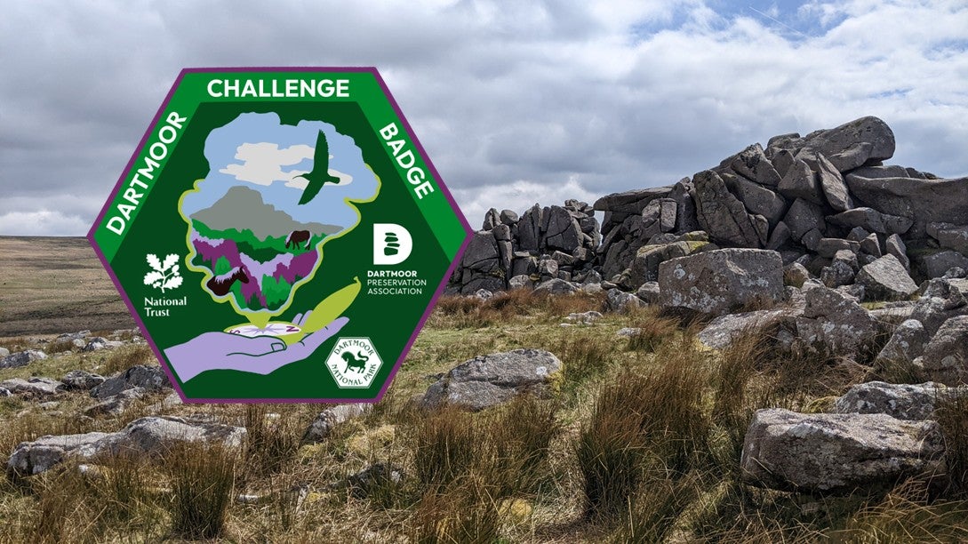 A craggy granite tor with another hill behind under a cloudy sky, with a beautifully designed Dartmoor Challenge Badge featuring an illustration of a tor, curlew and ponies in the shape of Dartmoor in purples and greens with the logos of the National Trust, Dartmoor National Park Authority, and the Dartmoor Preservation Association.