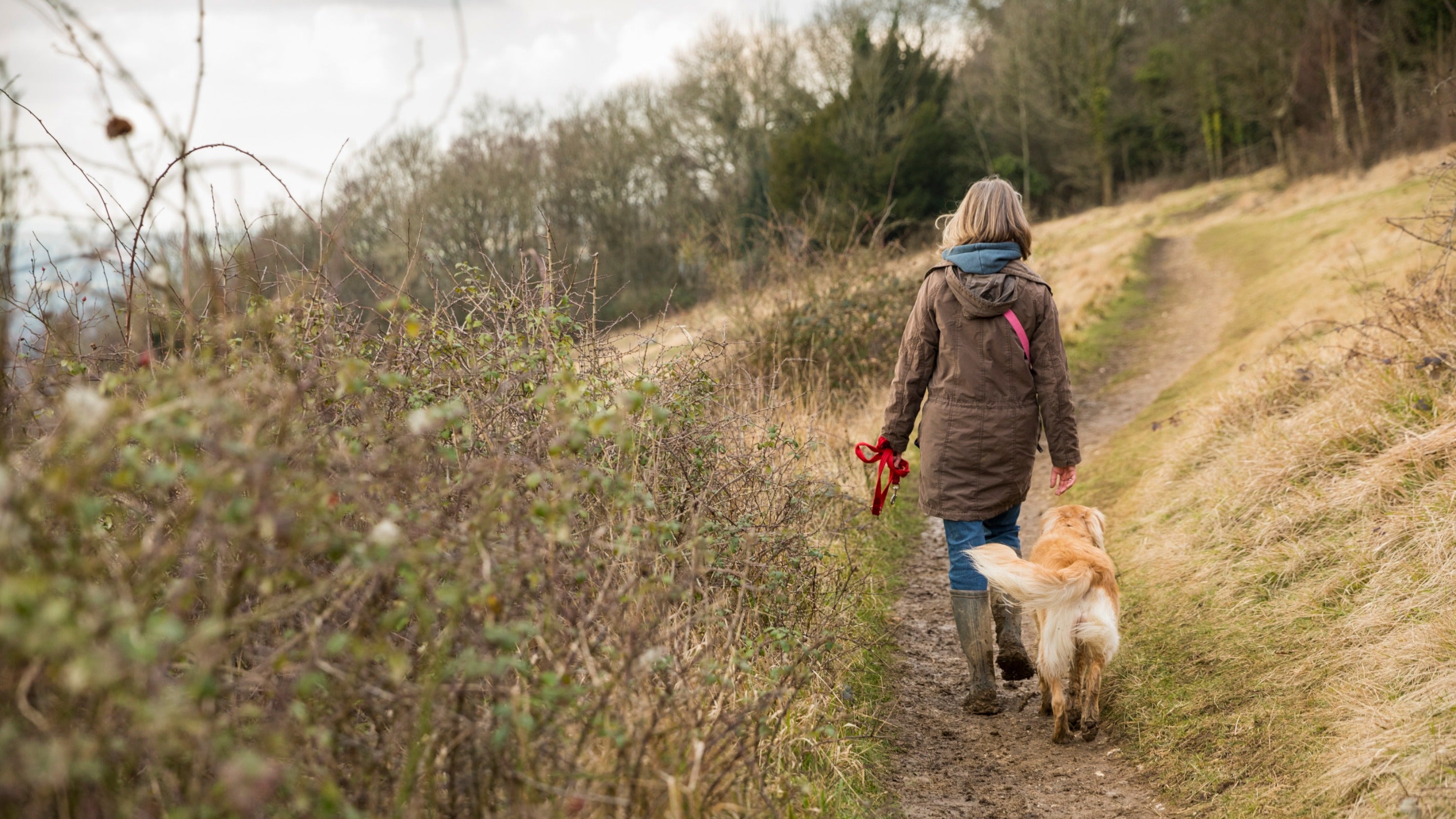 Woman walking along a path with her dog by her side