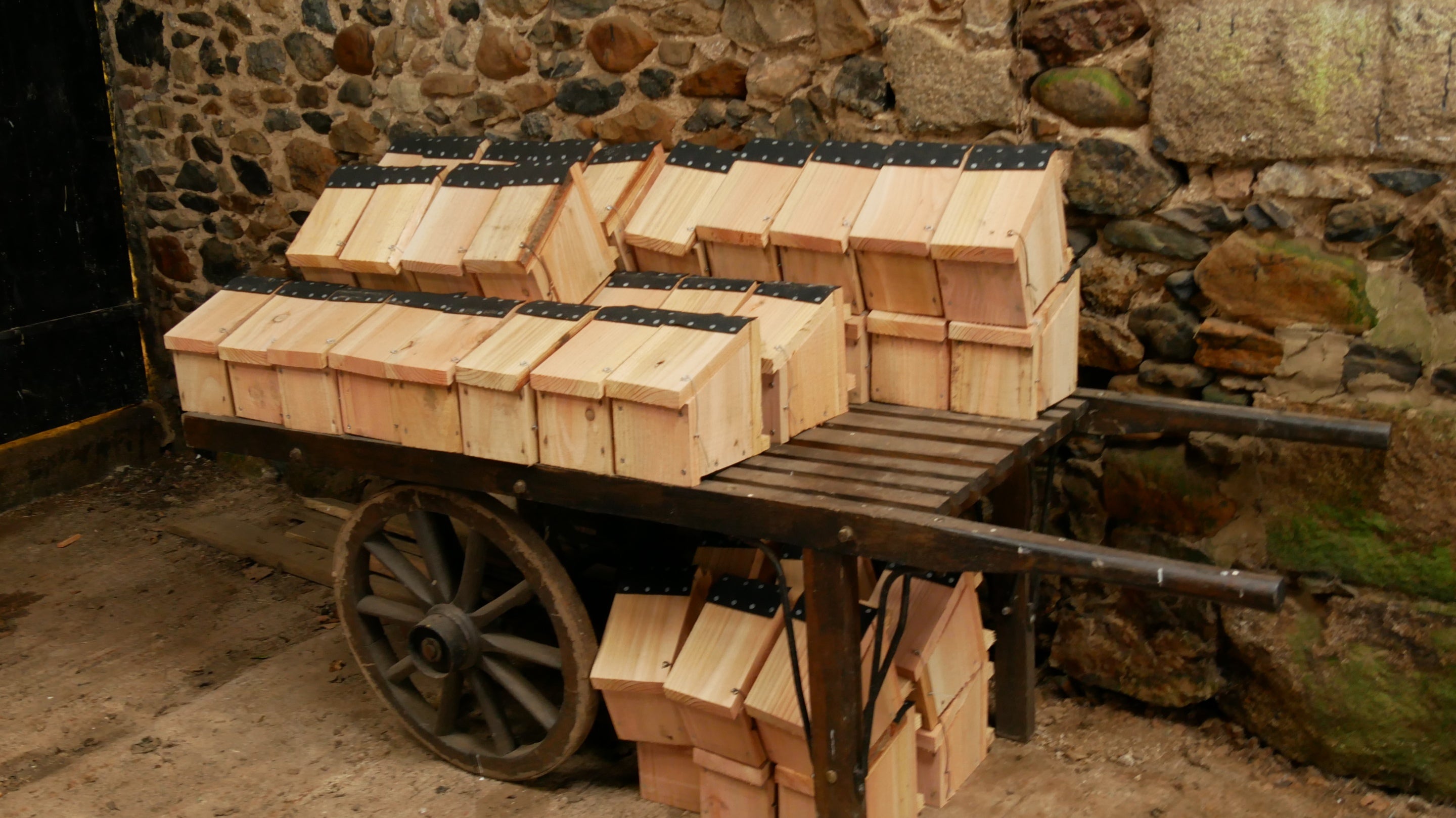 Dormouse boxes ready to install at Parke, Devon