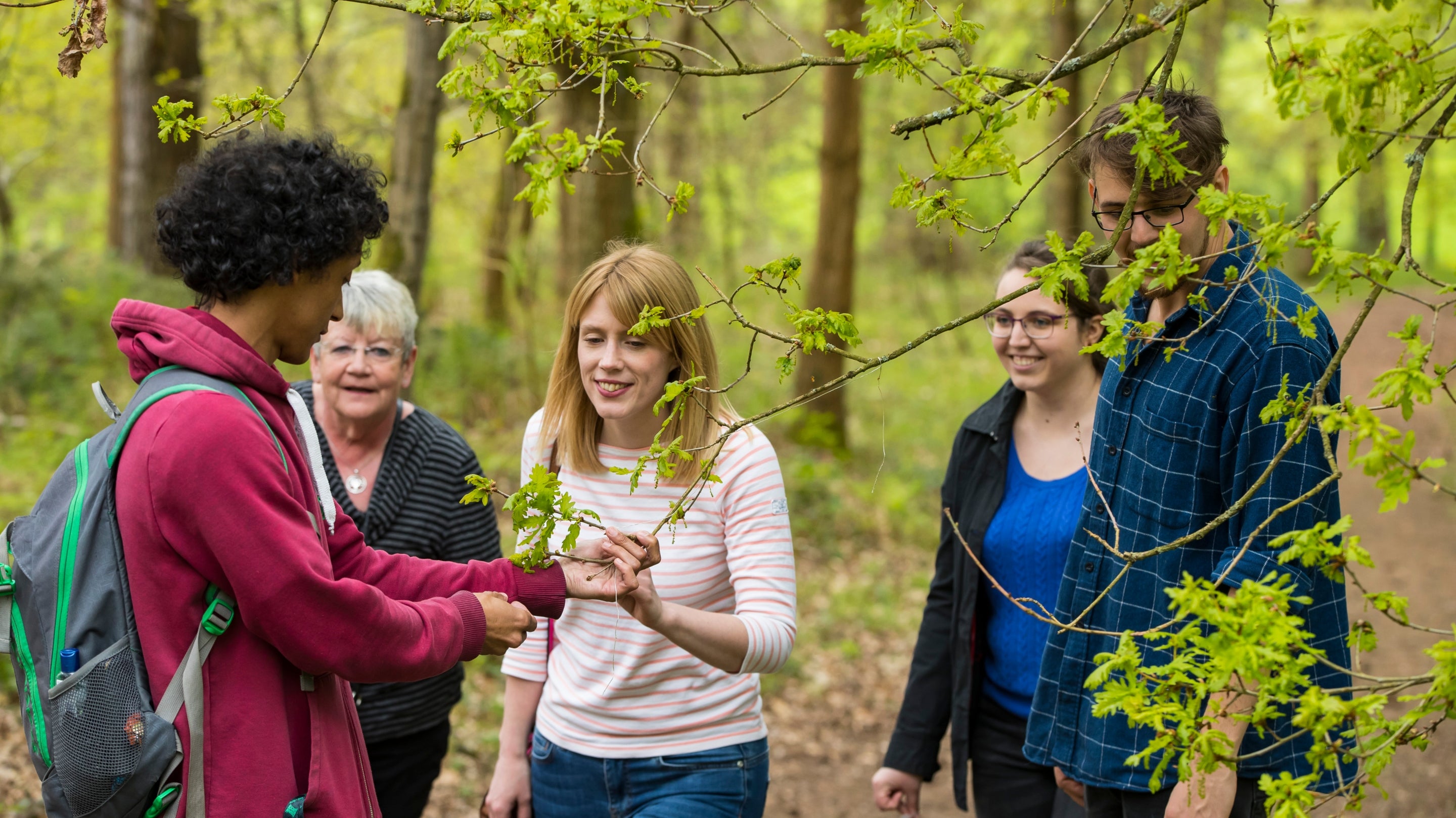 A group of people in a woodland in spring looking at the new leaves emerging.