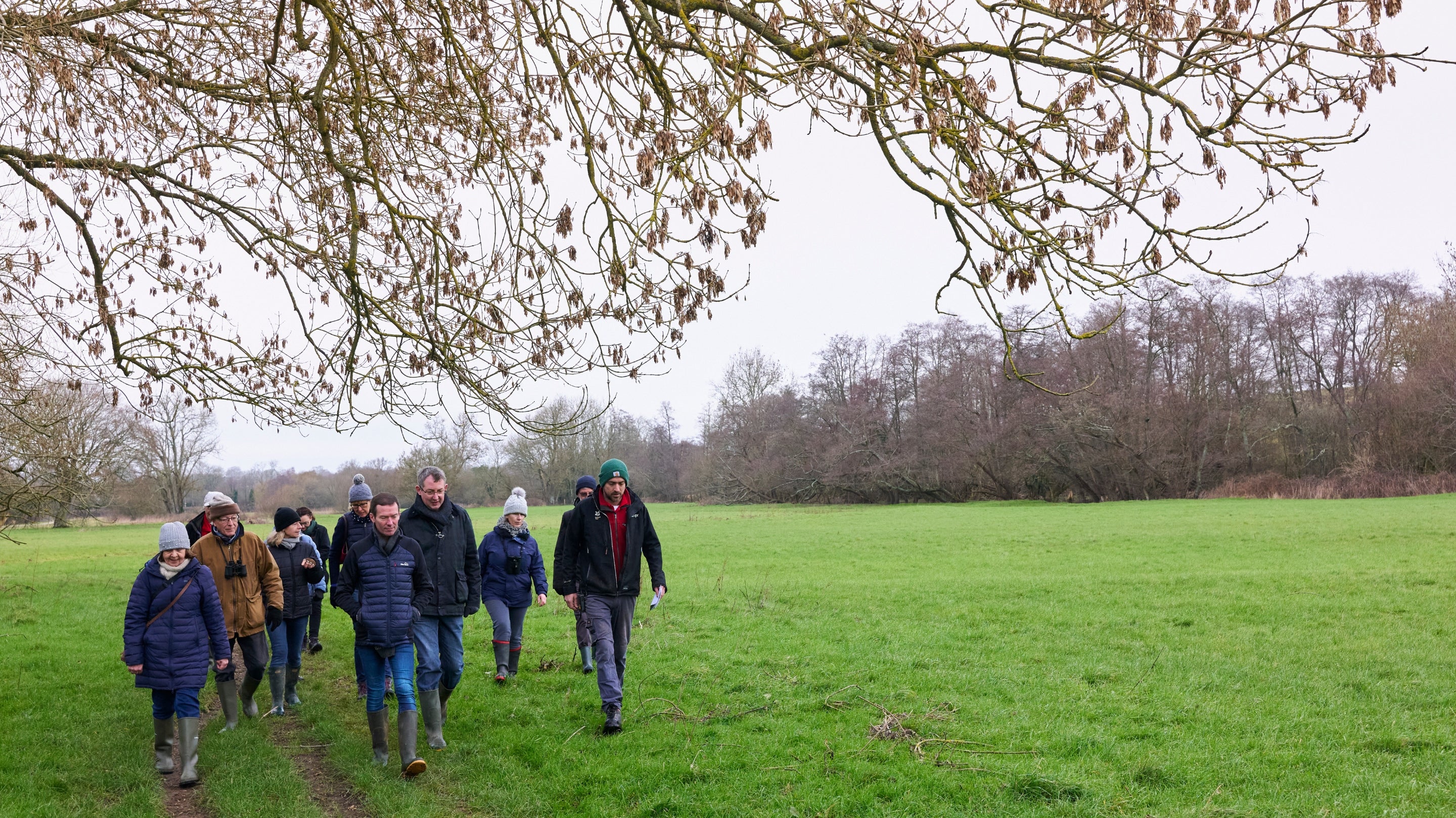 A group of people walking across a tree-lined field.