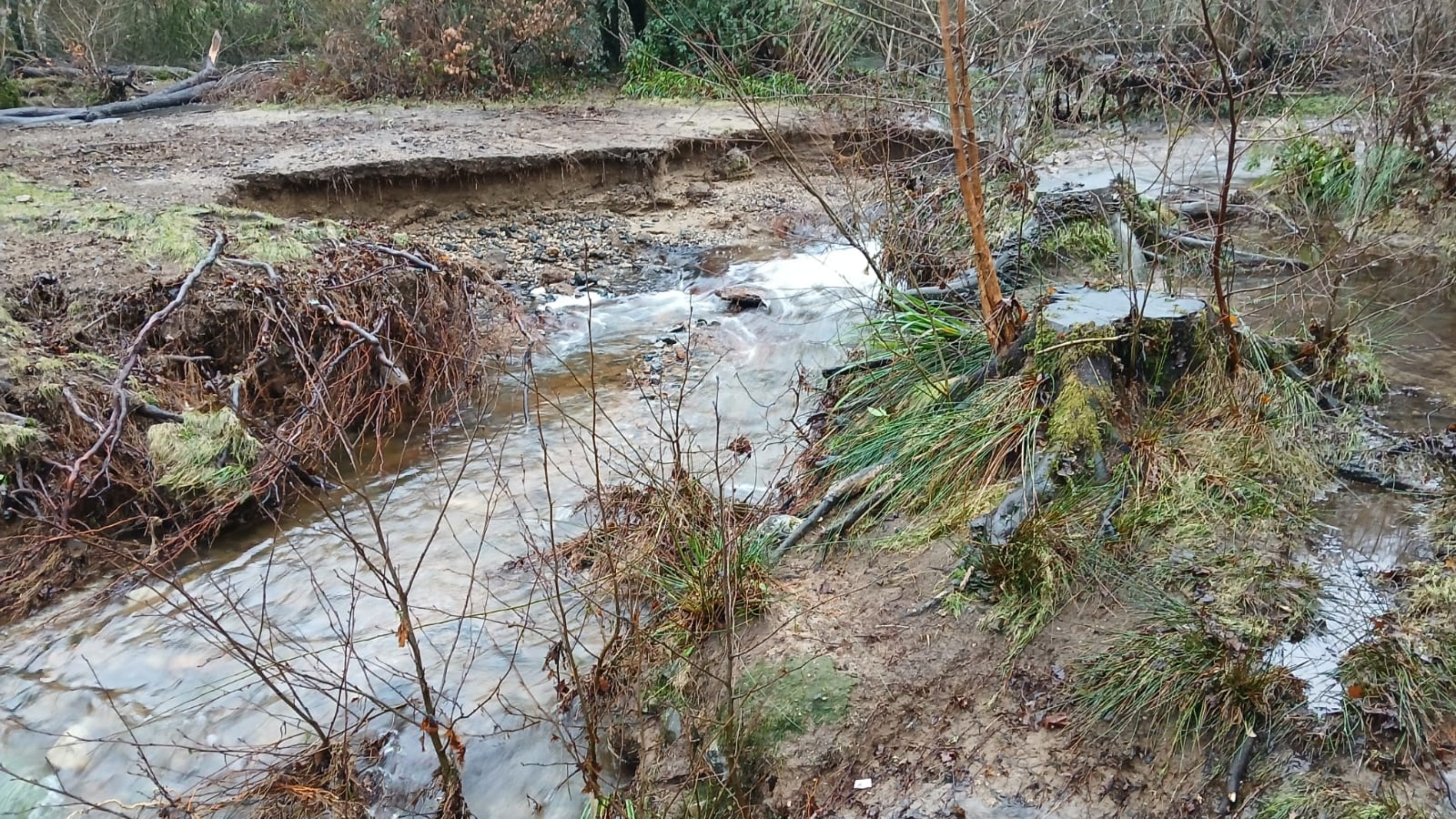 The River Bovey in flood, causing heavy erosion of the footpath by the weir at Parke