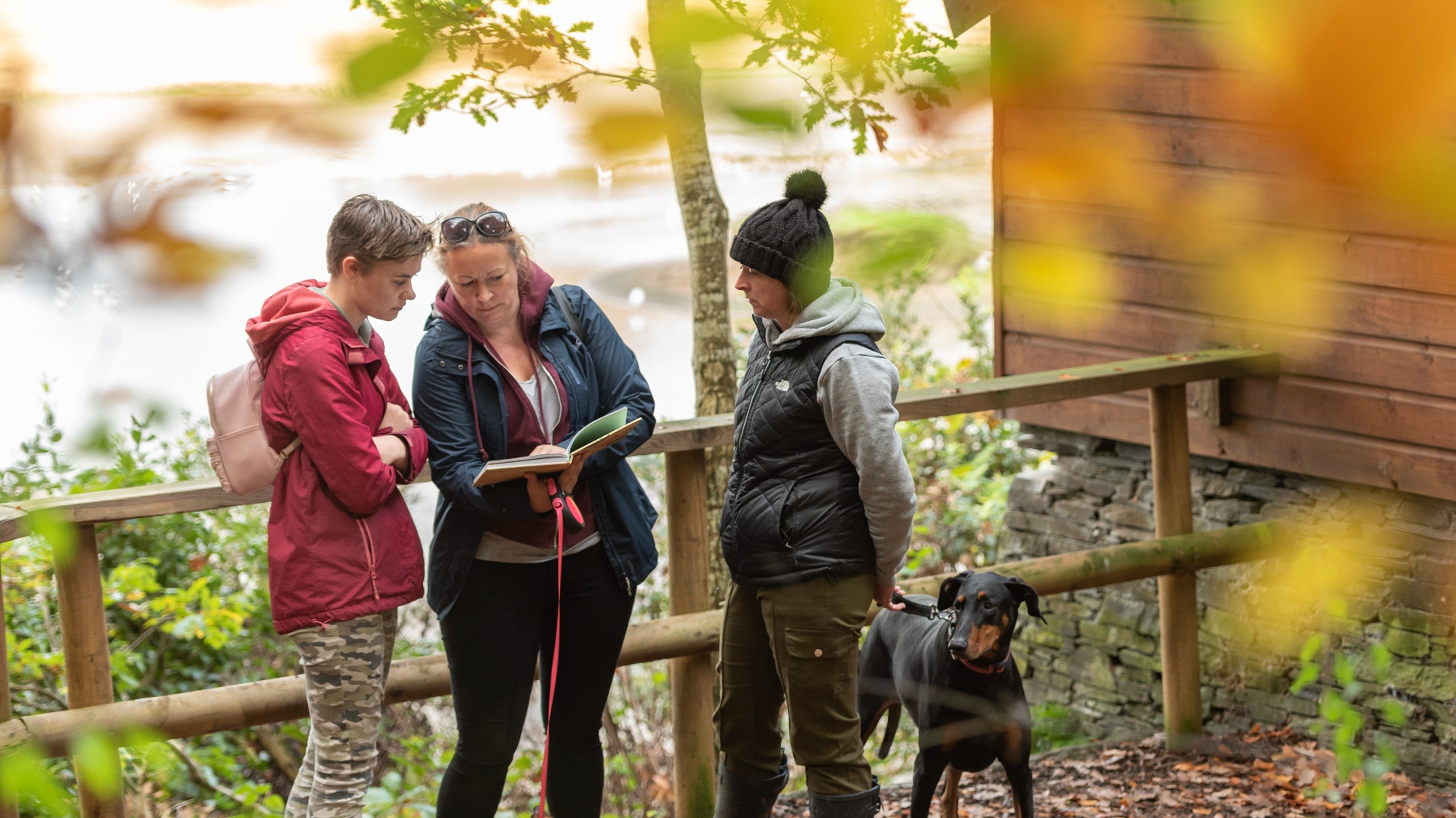 Dog walkers in the park at Saltram, Devon