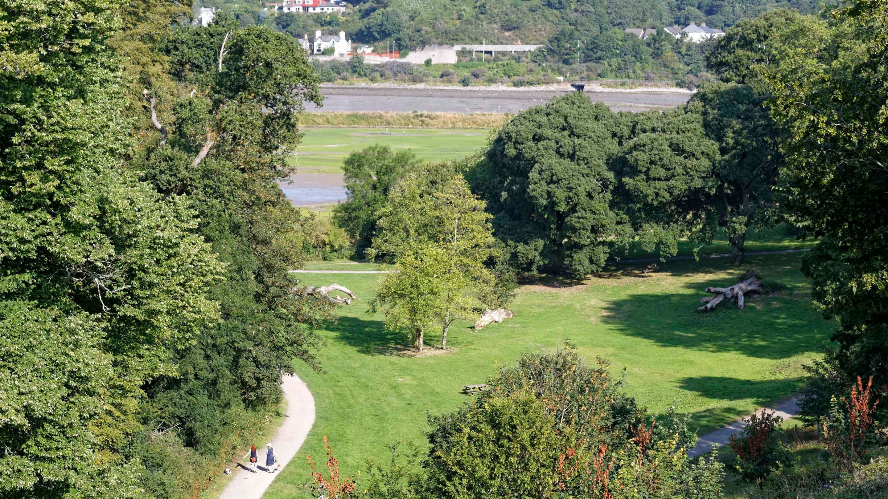 A view of the grounds of Saltram estate looking towards the River Plym, Devon in summer