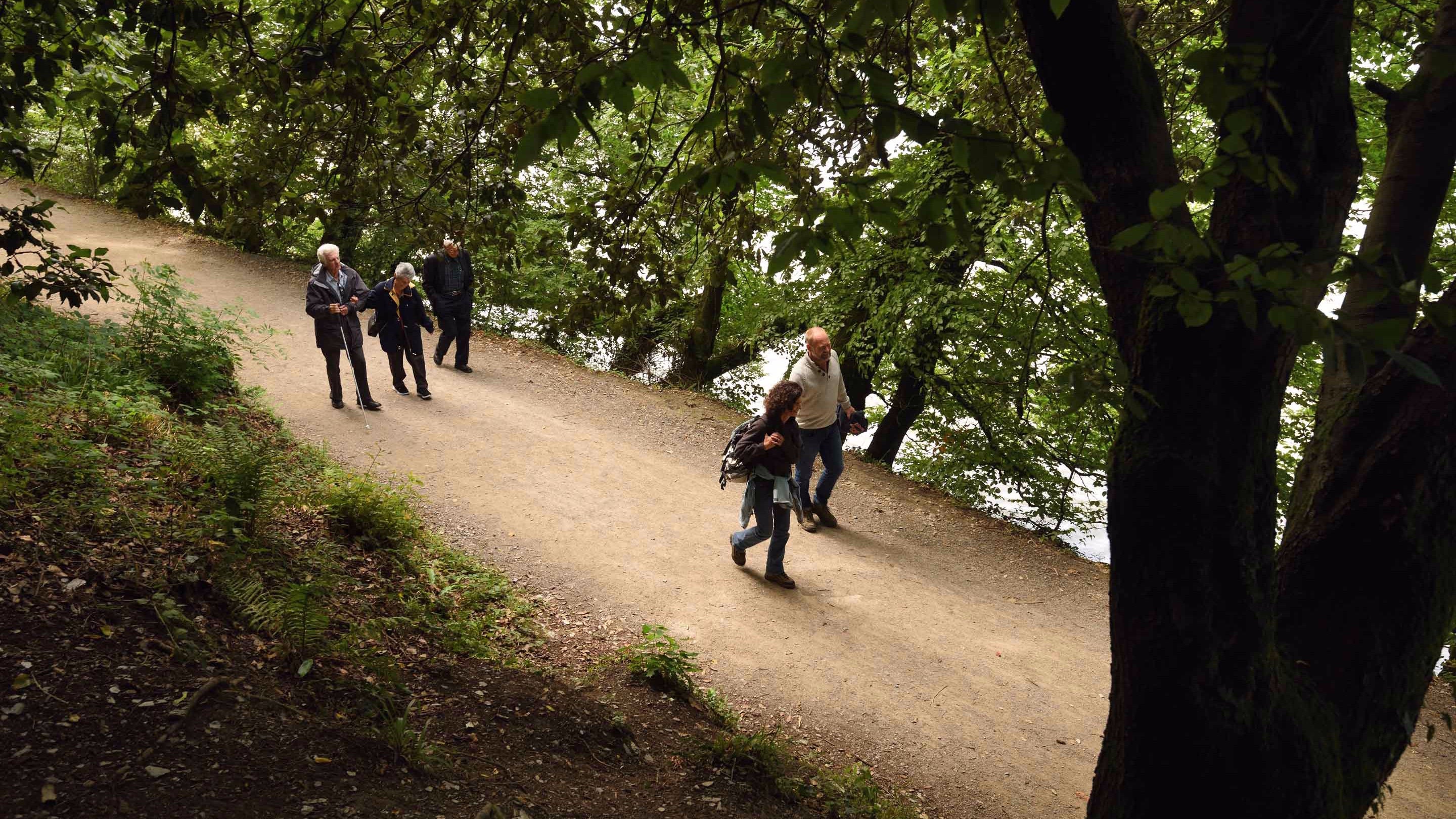 Visitors walk along a path through the woods and beside a river at Saltram, Devon
