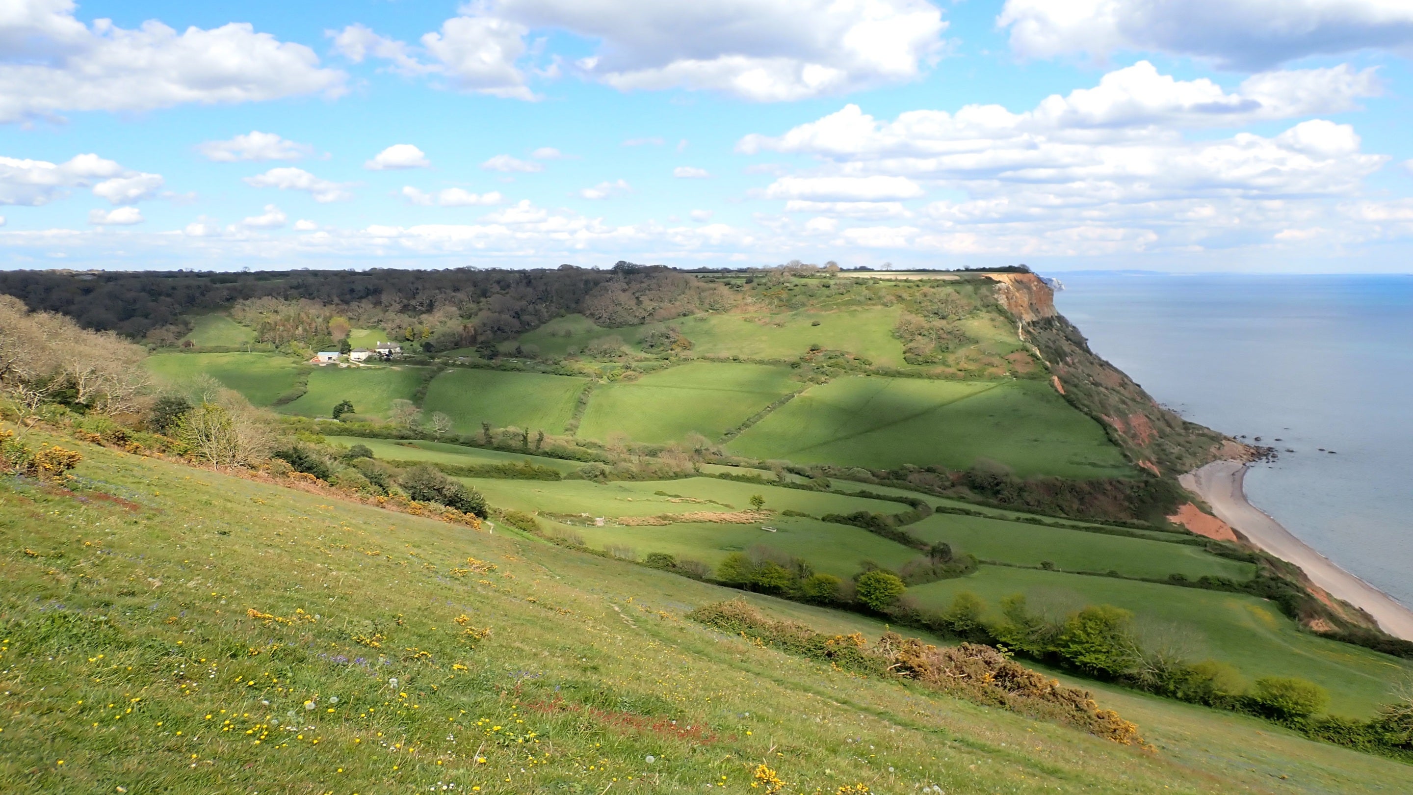 View of green valley with fields, hedgerows, woodland and farm buildings at Coombe Wood Farm, leading down to a pebbly beach.