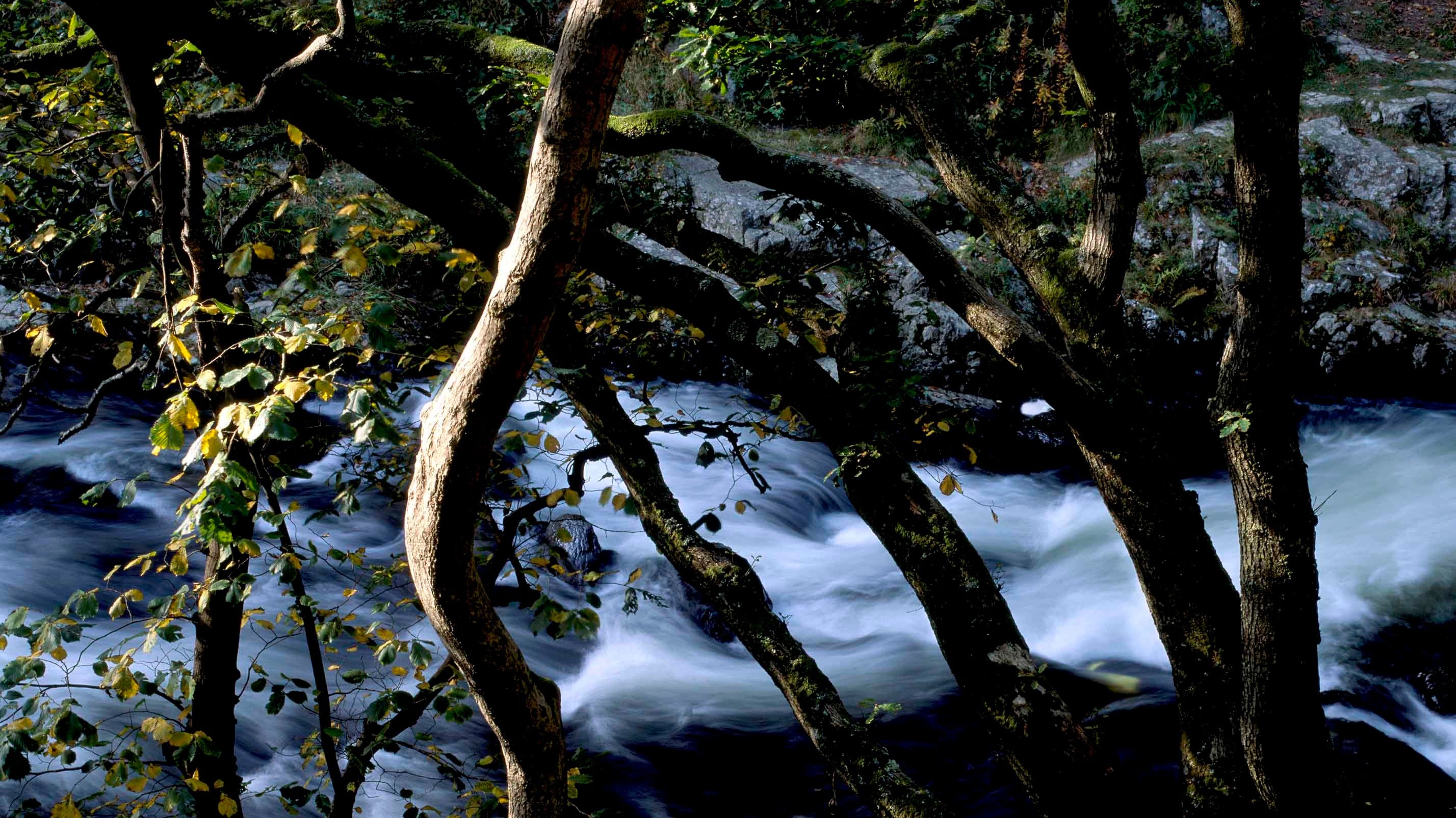 Close up of the river at Watersmeet in winter