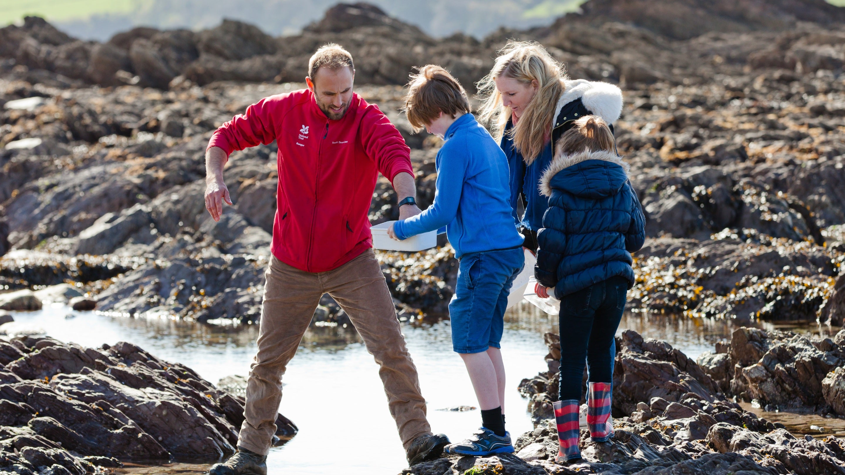Visitors at Wembury Beach, Wembury, Devon.