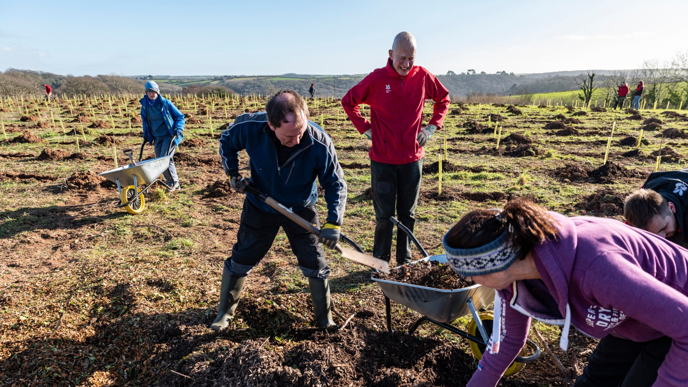 A small group of people dressed for winter using wheel barrows and spades to dig for tree planting