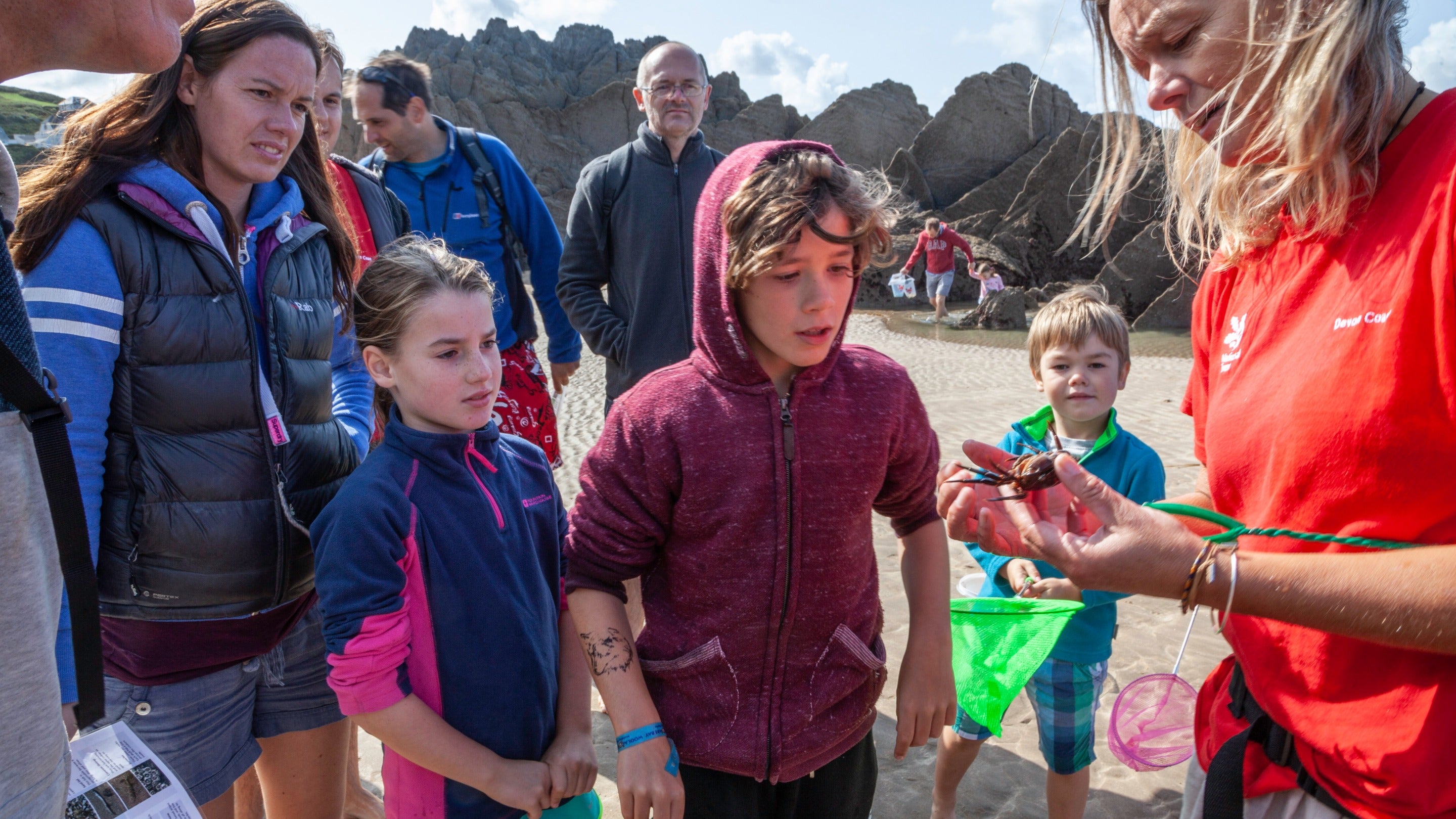 Families taking part in a rockpool ramble event on the beach at Woolacombe, Devon