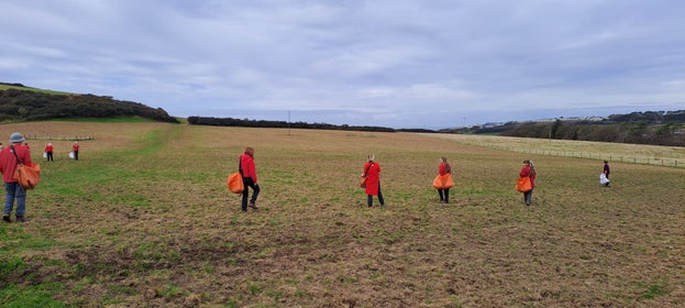 A line of people evenly spread apart walking across the field as they spread seed by hand