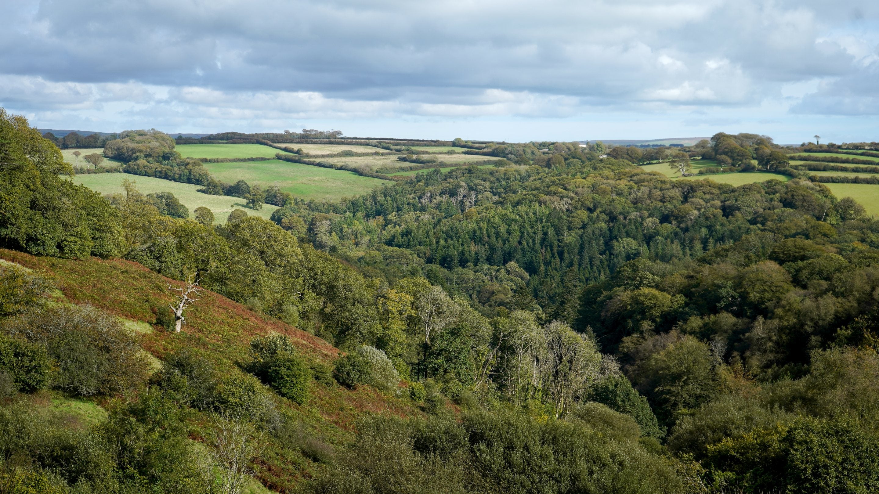 Looking over over a valley with rolling hills in the back ground and trees lining the valley