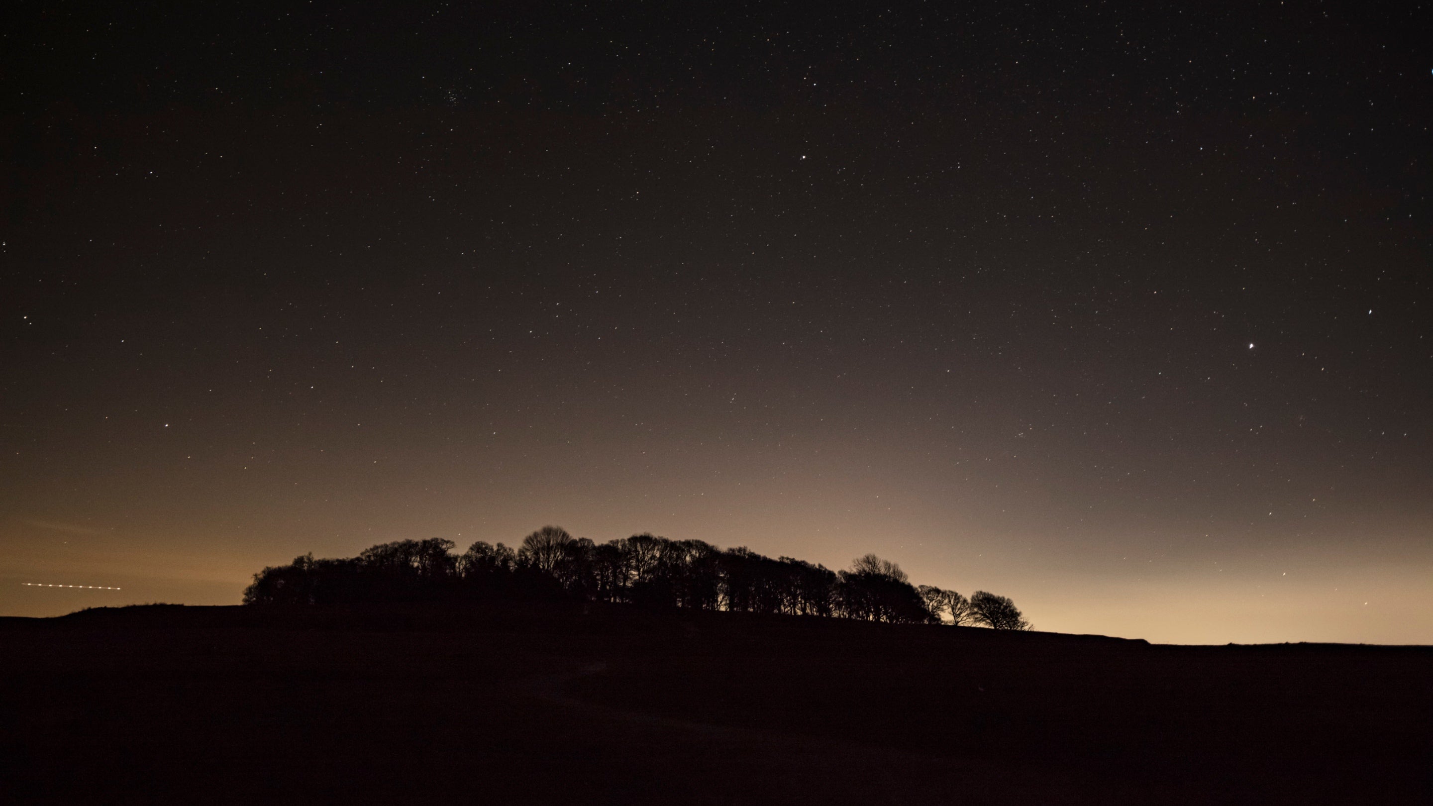 A wooded skyline is outlined against the last of the daylight, with millions of stars above