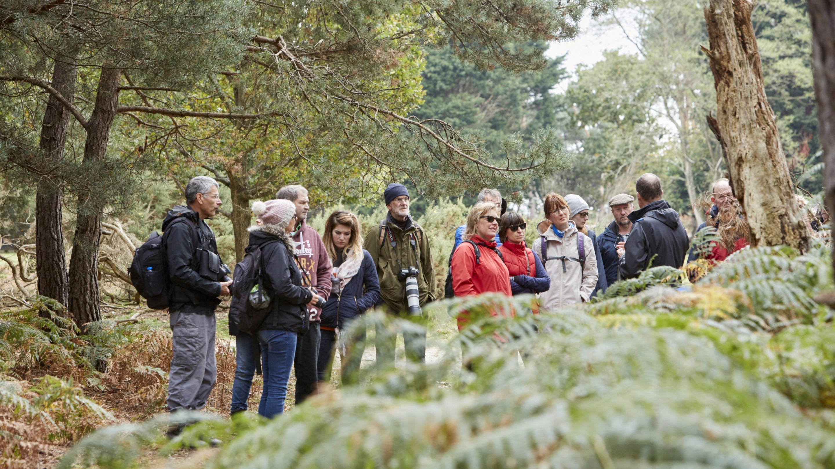 A group of people standing in bracken listen to a nature guide at Brownsea Island, Dorset