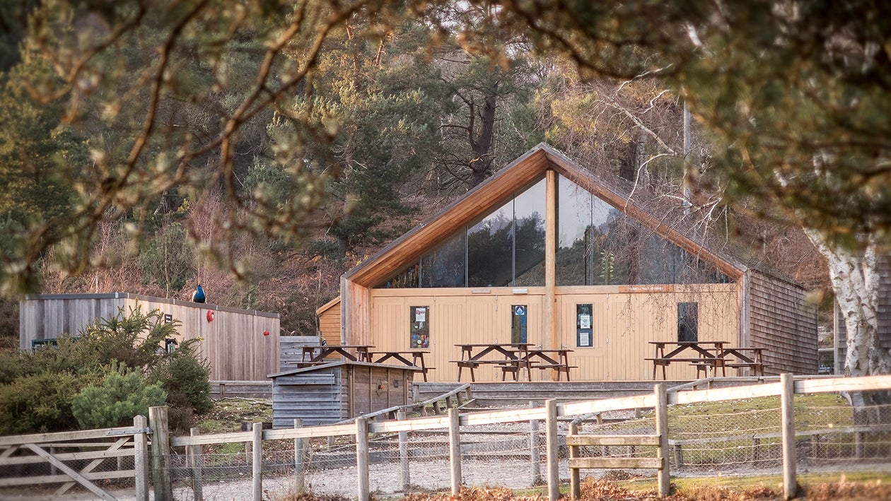 View through trees of the wooden Trading Post with a fence line in the foreground and trees in the background.