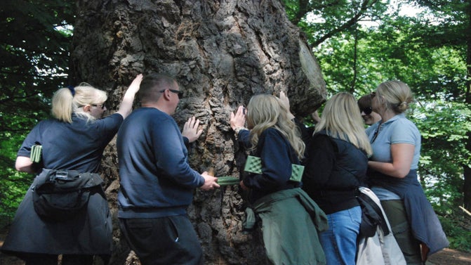 Group of people hugging a tree during a forest bathing session.