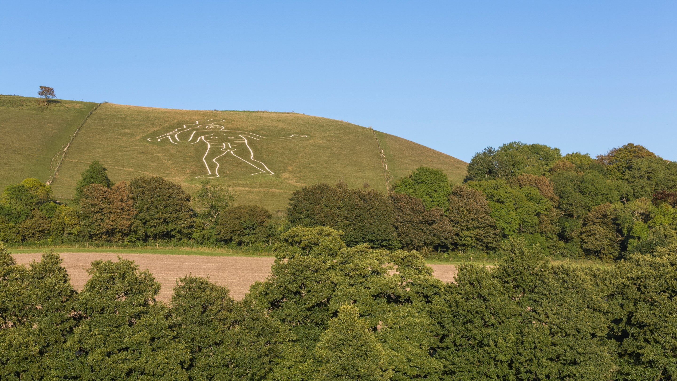 View of Cerne Abbas chalk giant beyond the trees in autumn in Dorset