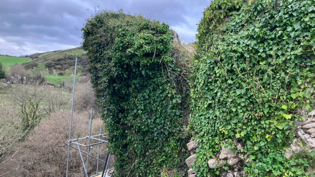 Fallen Tower at Corfe Castle covered in vegetation