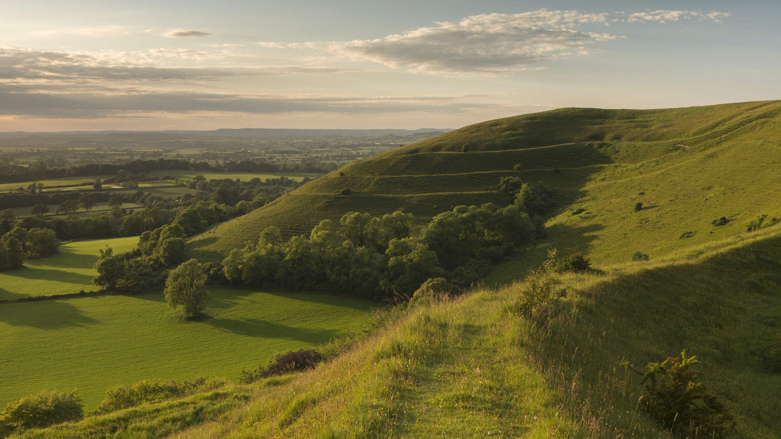 Sunset view from atop a ridge of grassy hill curving around a flat area with a few trees on the lower ground