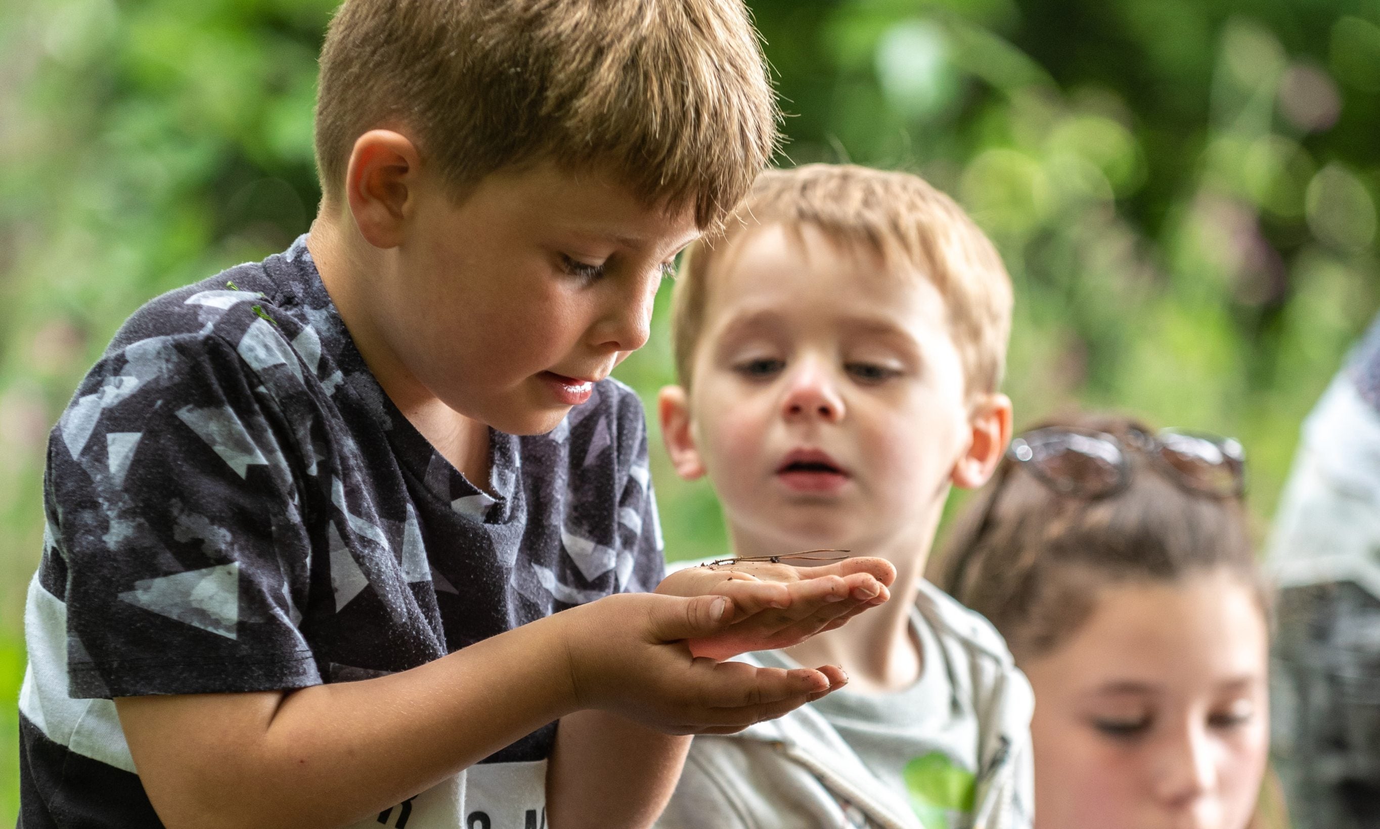 Two small children look at a bug