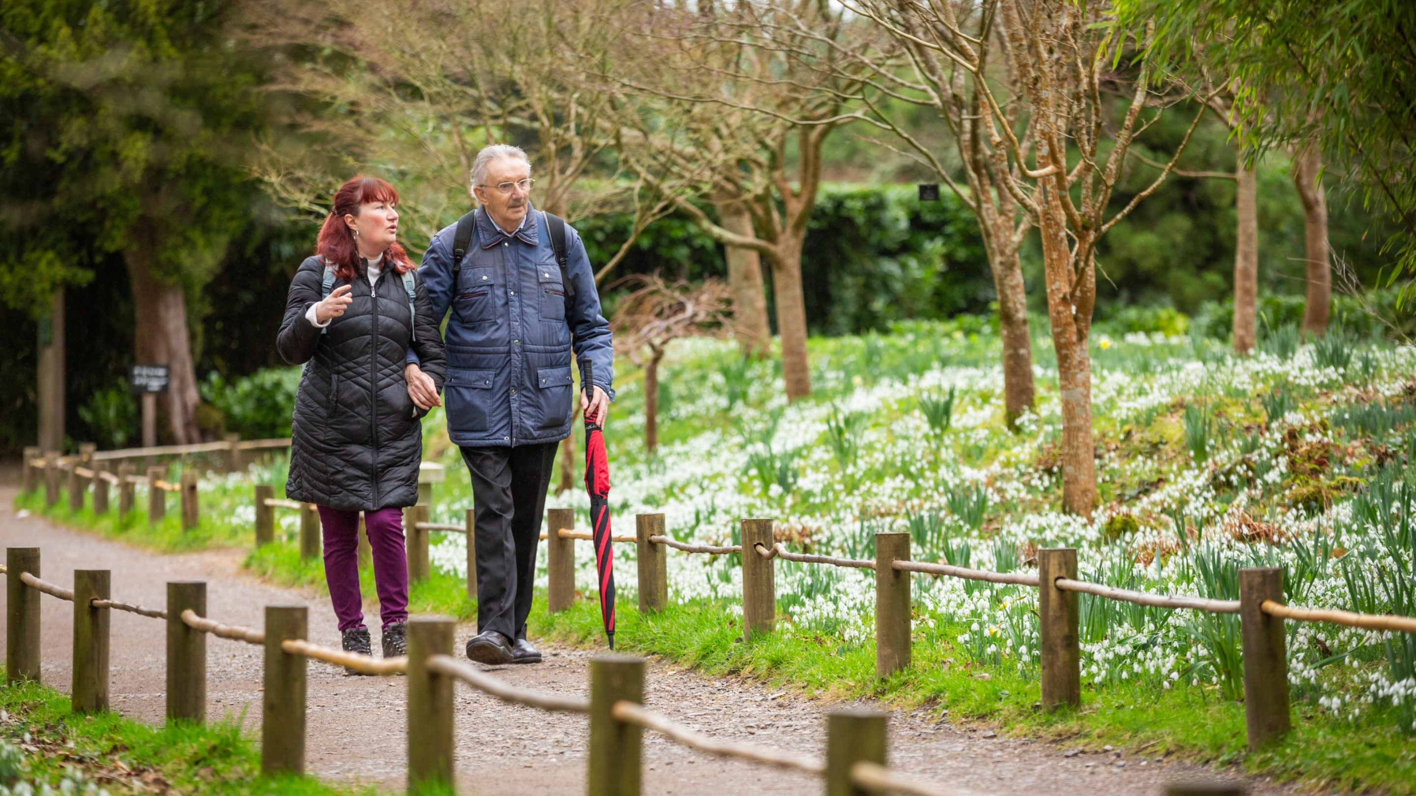 Two people in winter clothes stroll along a garden path, in front of a bank of white flowers