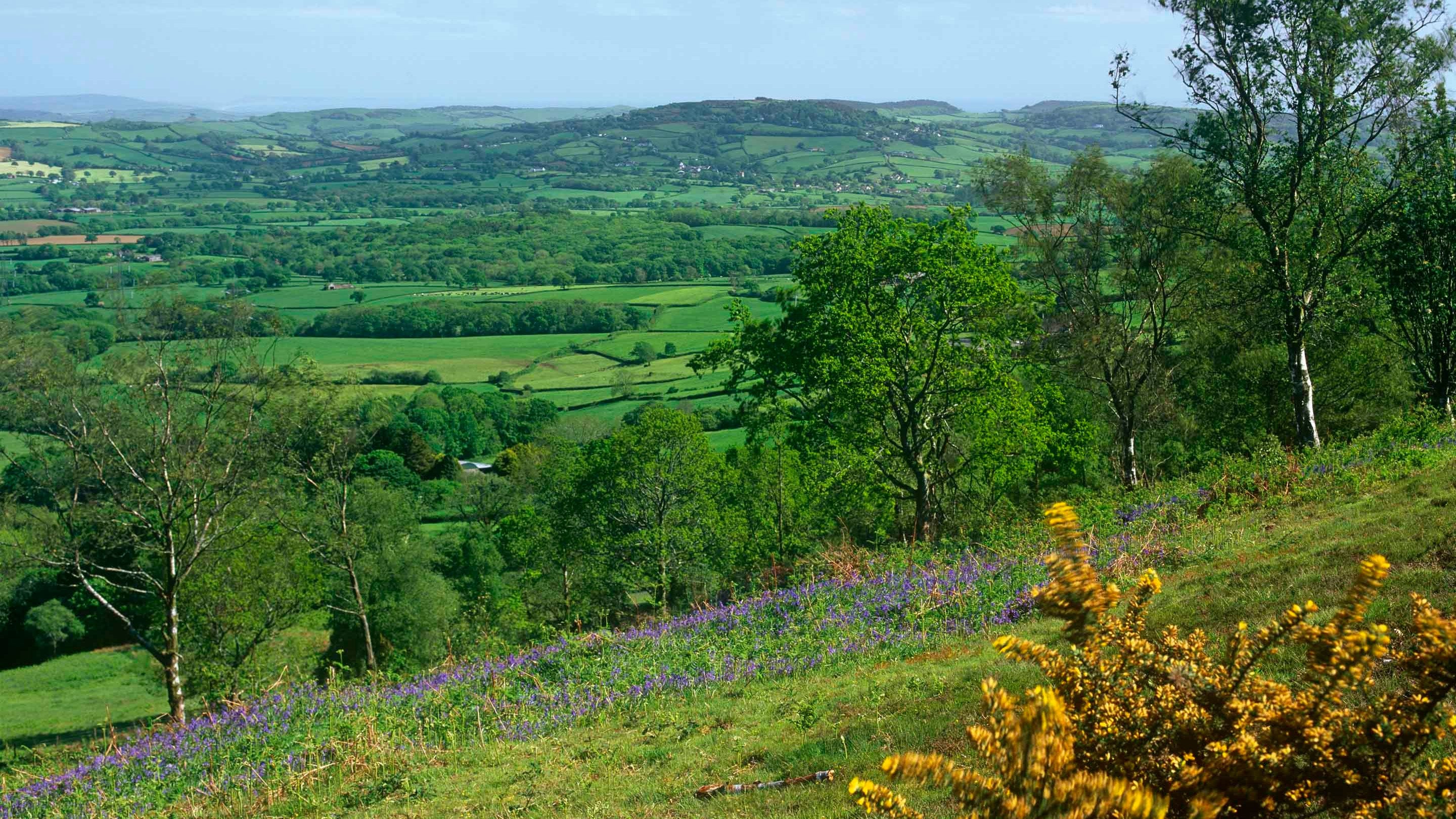 View from Lambert's Castle Hill, Dorset