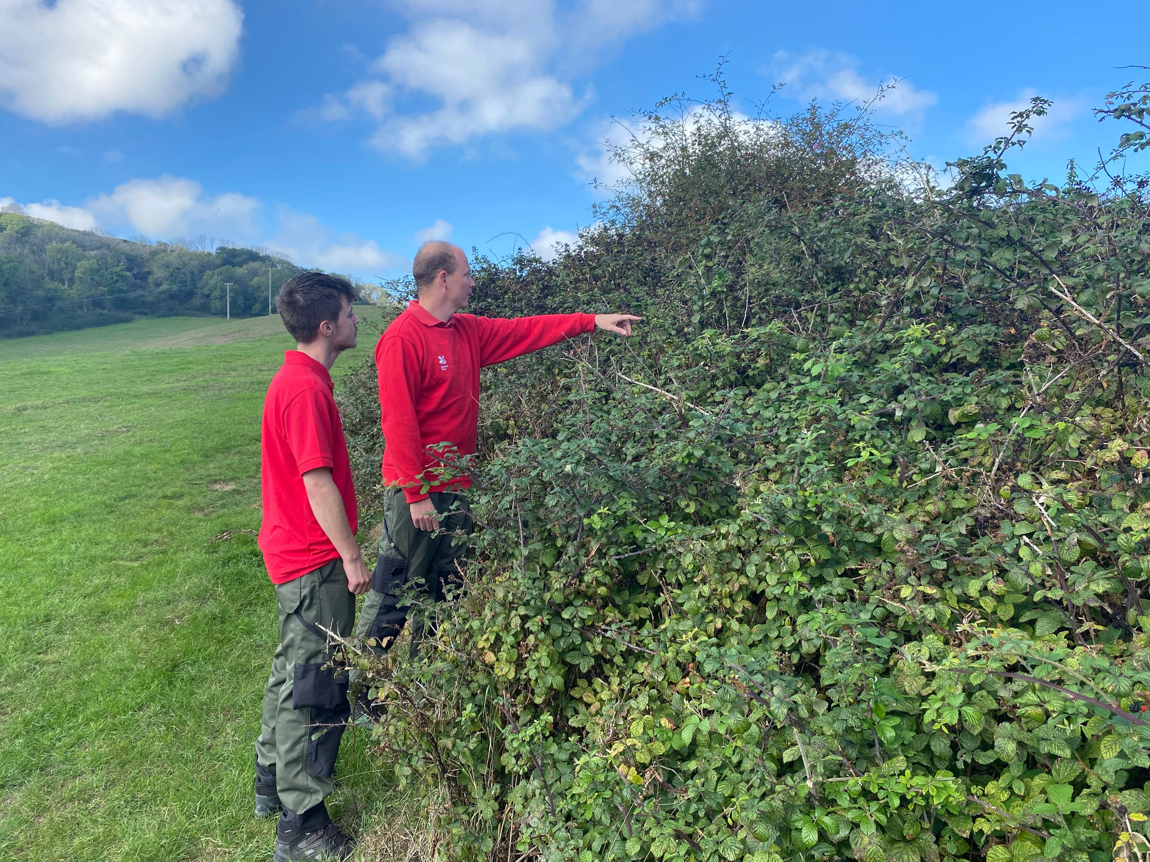Two rangers in red sweatshirts looking at an area of scrub.