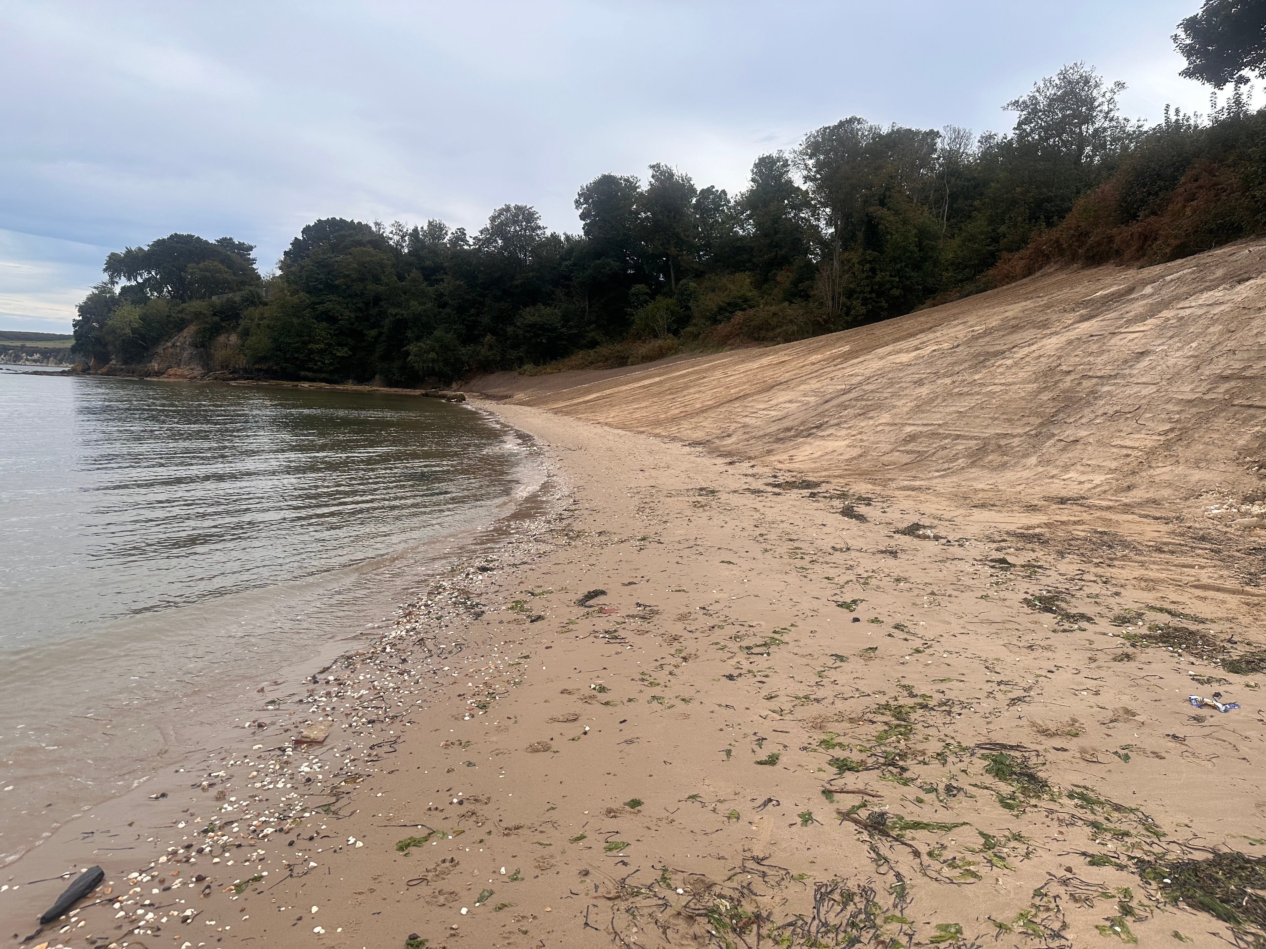 Middle Beach showing the cliff reprofiled so it gradually slopes down the the sea. No sea defences or man-made structures are in view.