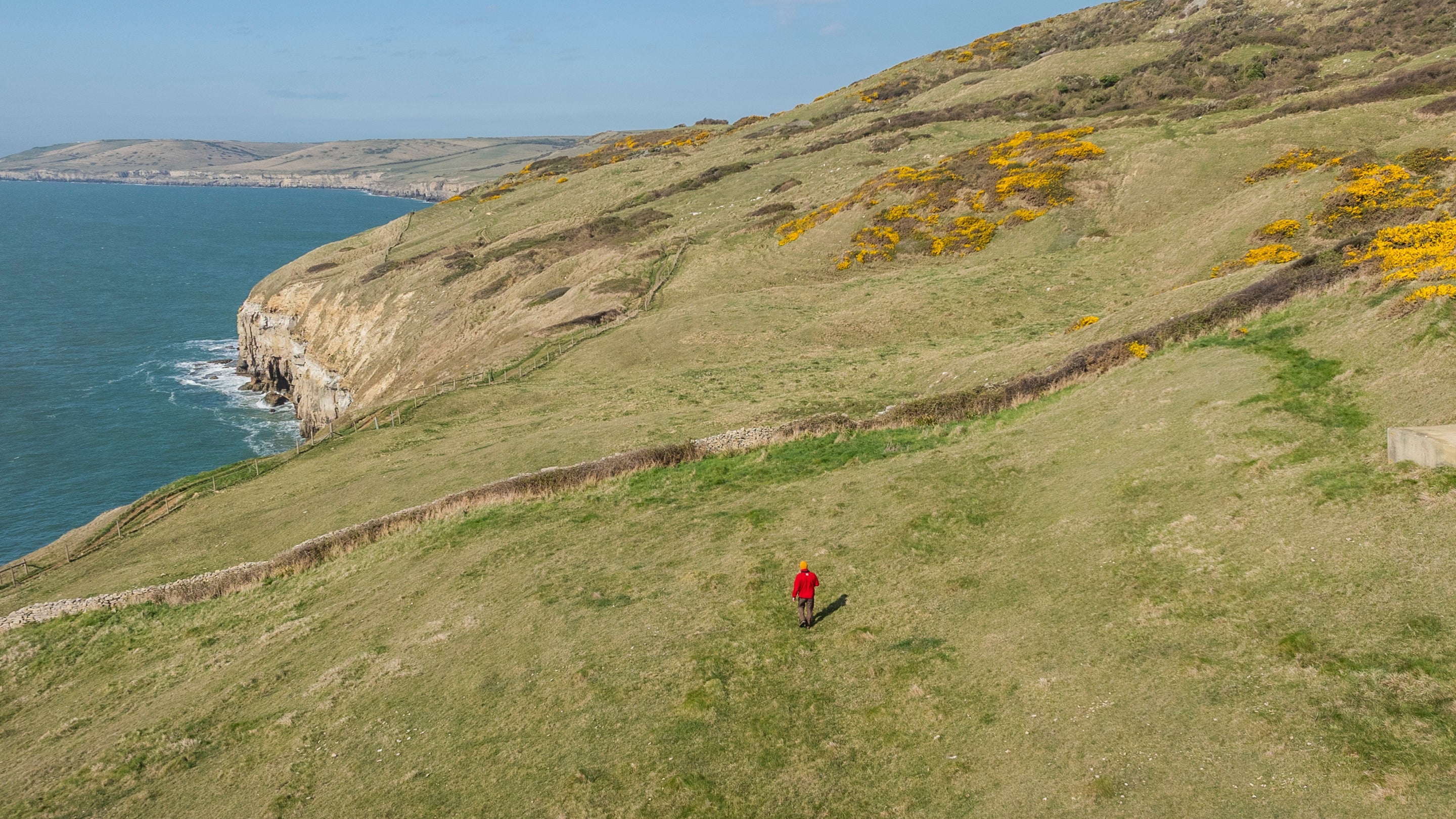 Coastal grassland and cliffs running down to the sea. National Trust ranger in red stands in foreground with the sweep of the coastline in the background.