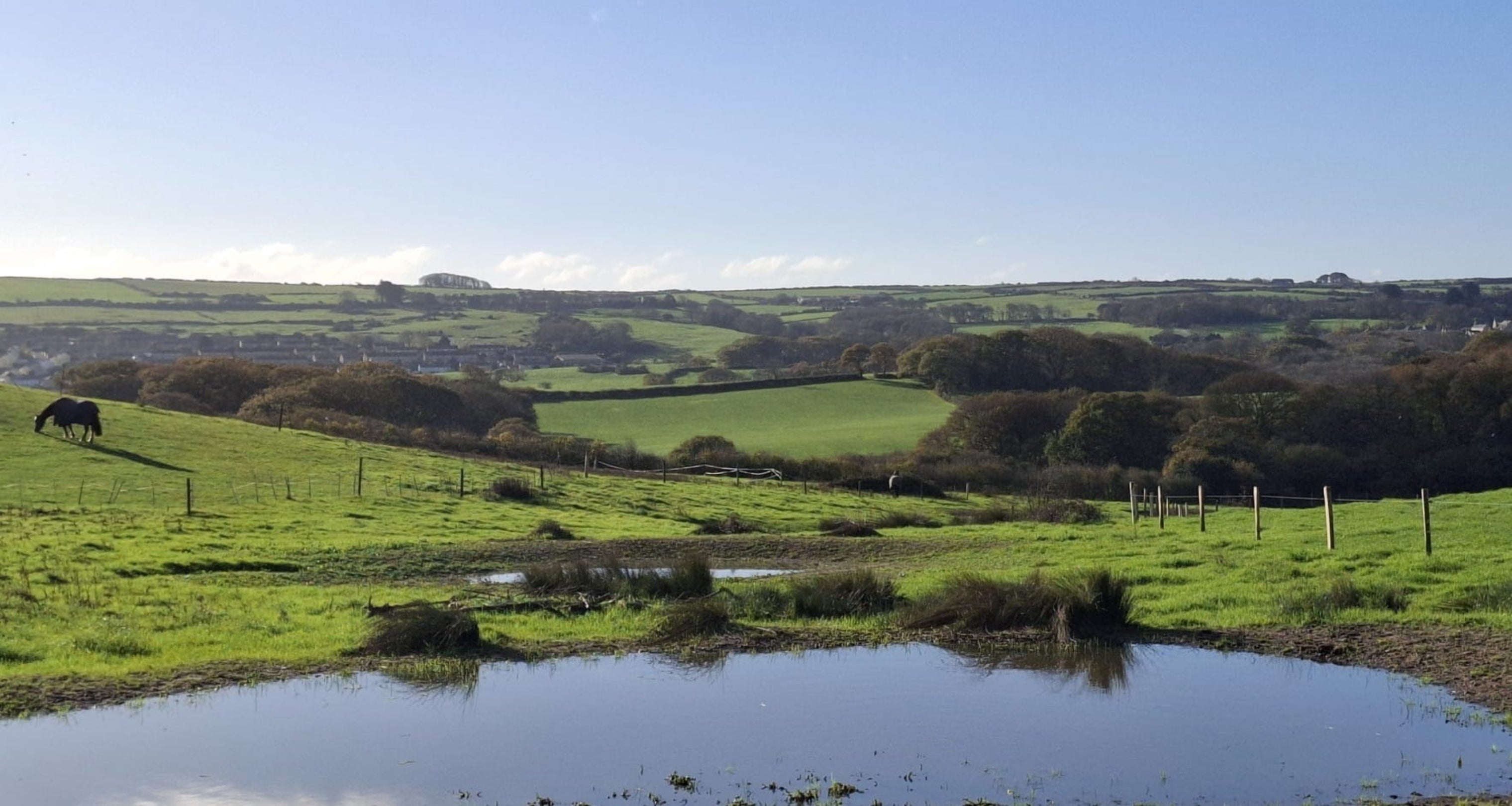 Pond full of water set amidst farmland.