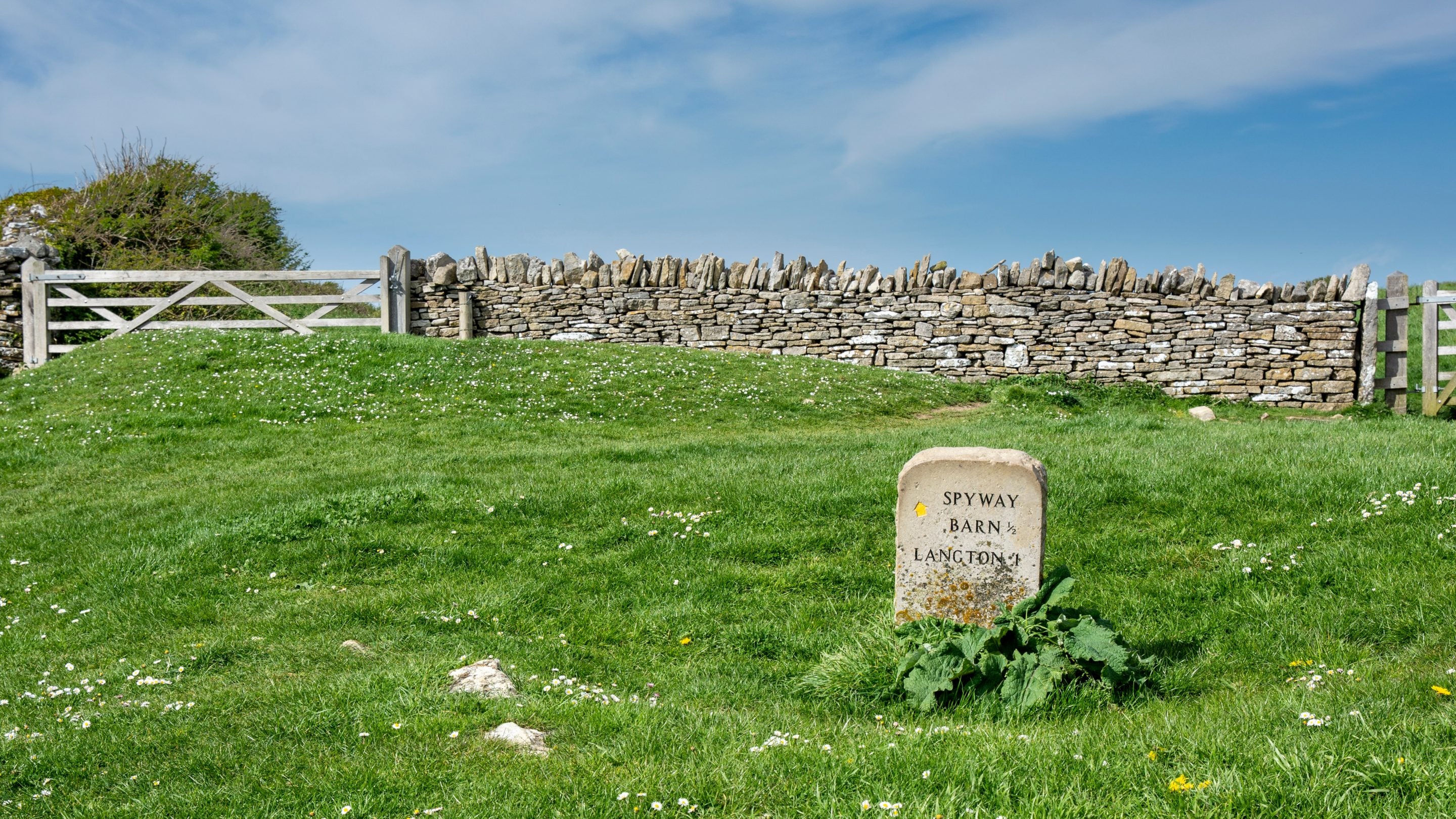 View of a grassy meadow with a stone sign post near Dancing Ledge at Spyway, Dorset