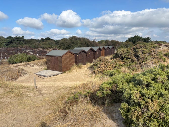 A photo of beach huts in the dunes at Knoll Beach