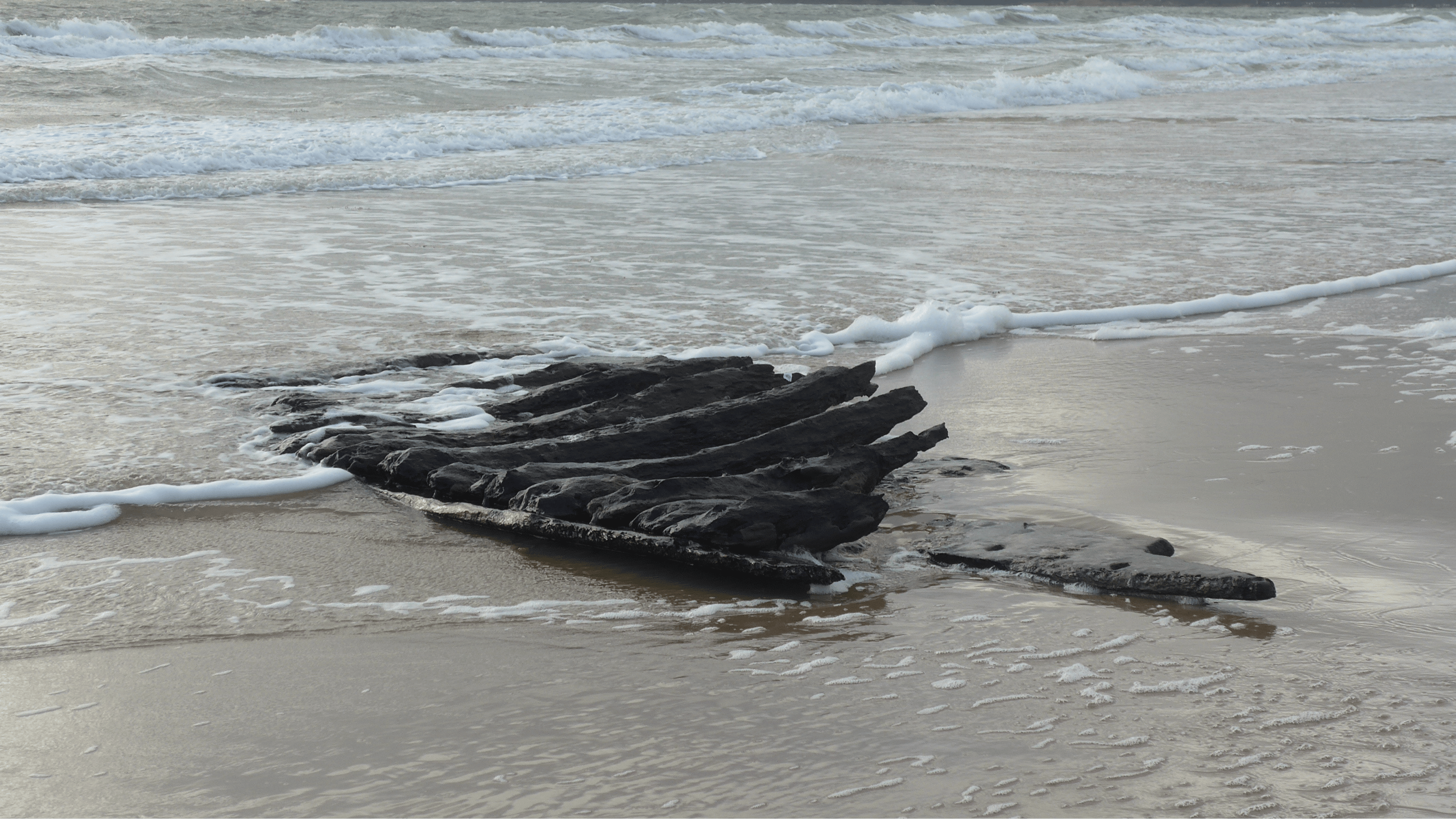Photo of high tide at Studland Bay with historic timbers revealed on the shoreline.  Believed to be a section of hull from the 17th century merchant ship the Fame of Hoorn or the Swash Channel wreck