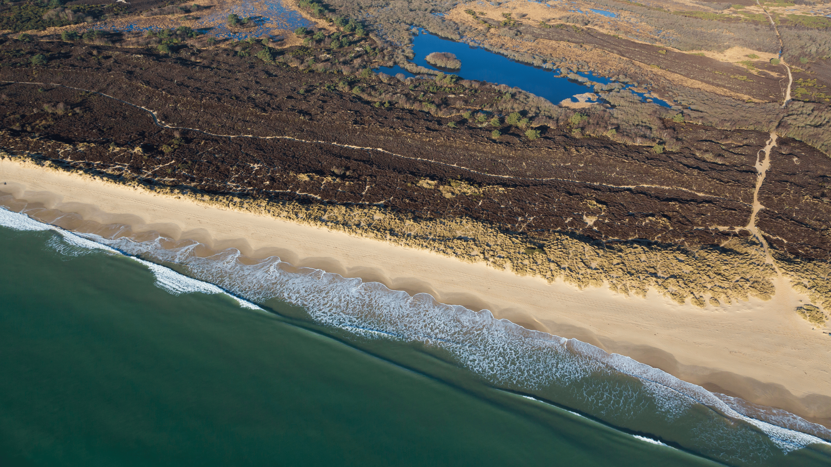 Aerial shot showing the sea, beach and dunes at Studland