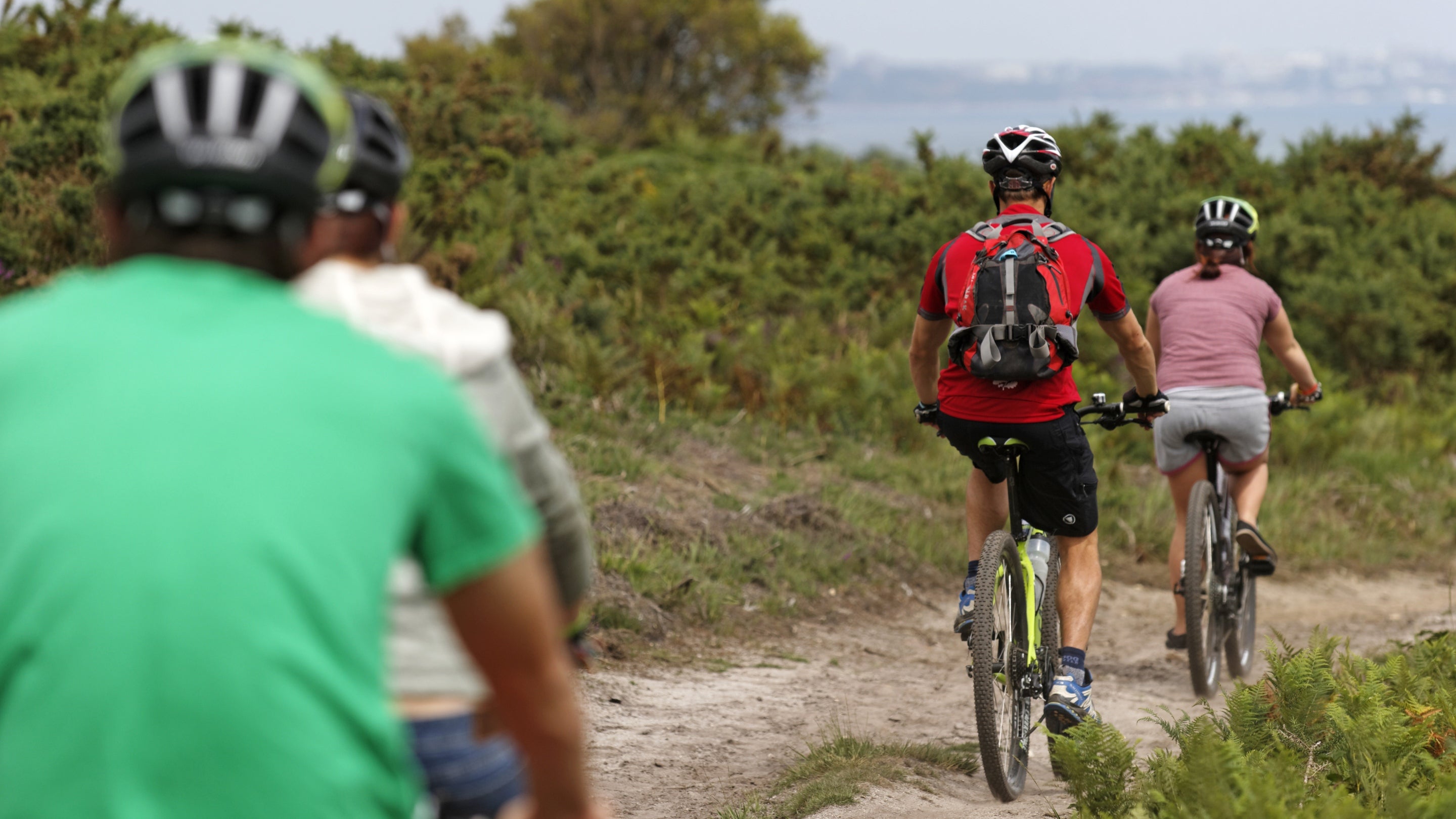 Visitors cycle along the path through Godlingston Heath near Studland Bay, Dorset