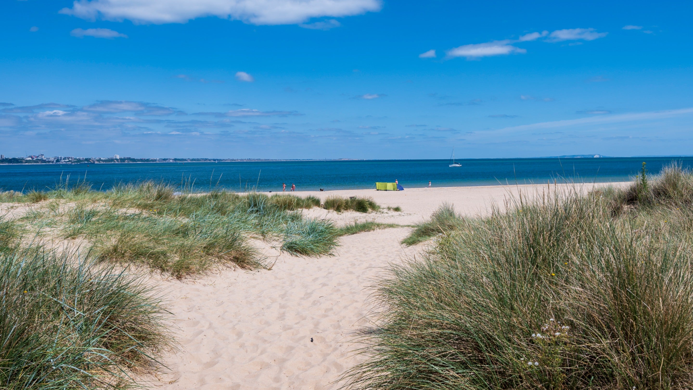 The beach and sea beyond at Shell beach, Studland Bay