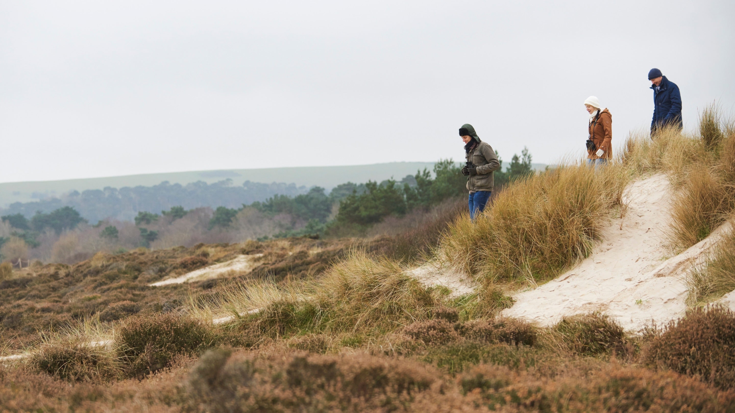 Visitors exploring the heaths at Studland