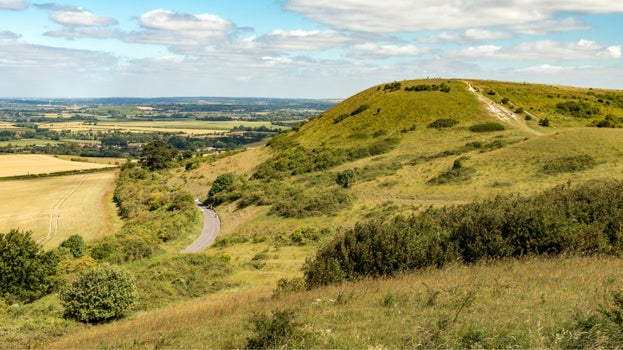 Views across Ivinghoe Beacon at Ashridge Estate during the summer