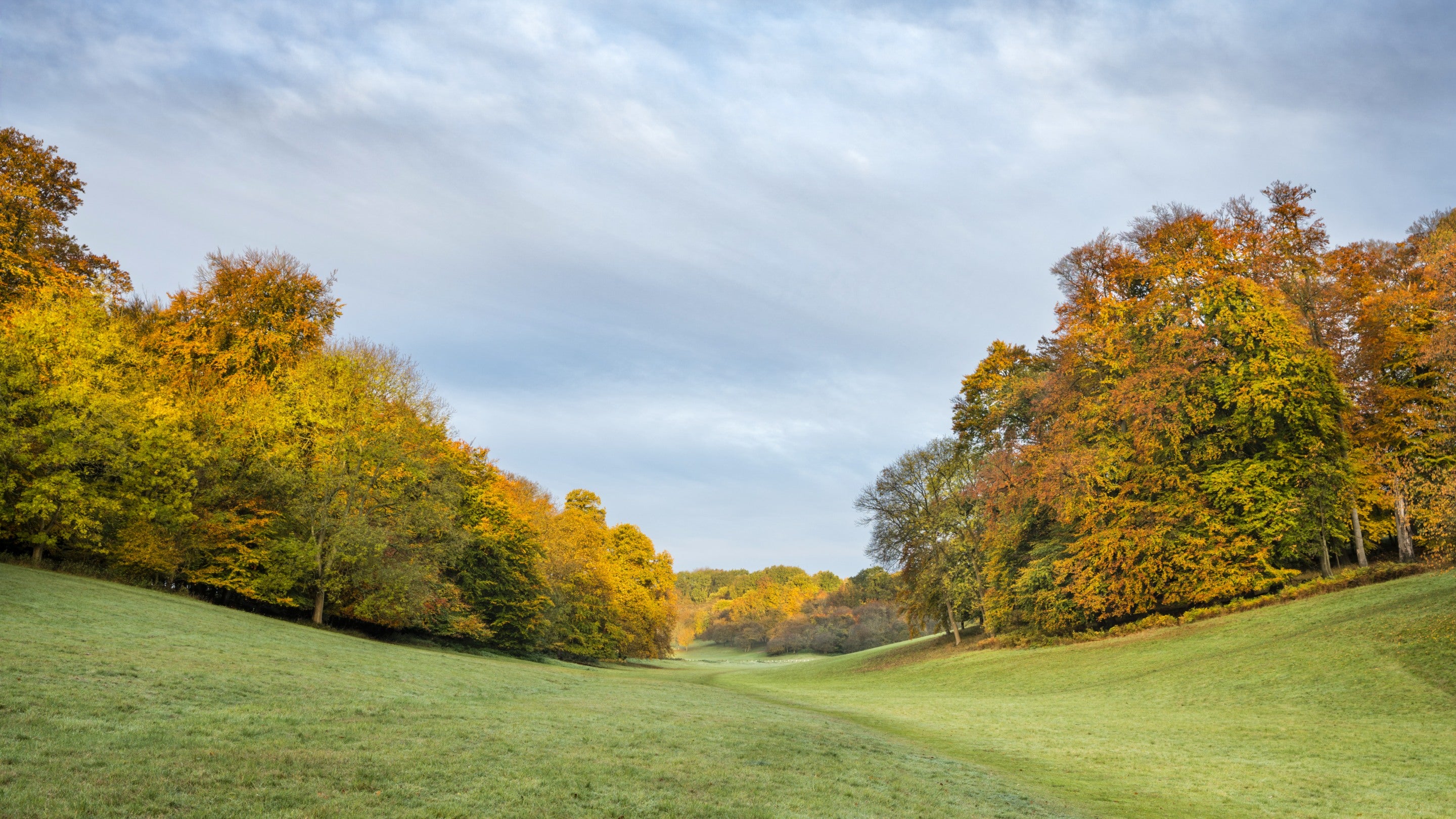 View looking north west from the Golden Valley. Ashridge Estate, Hertfordshire