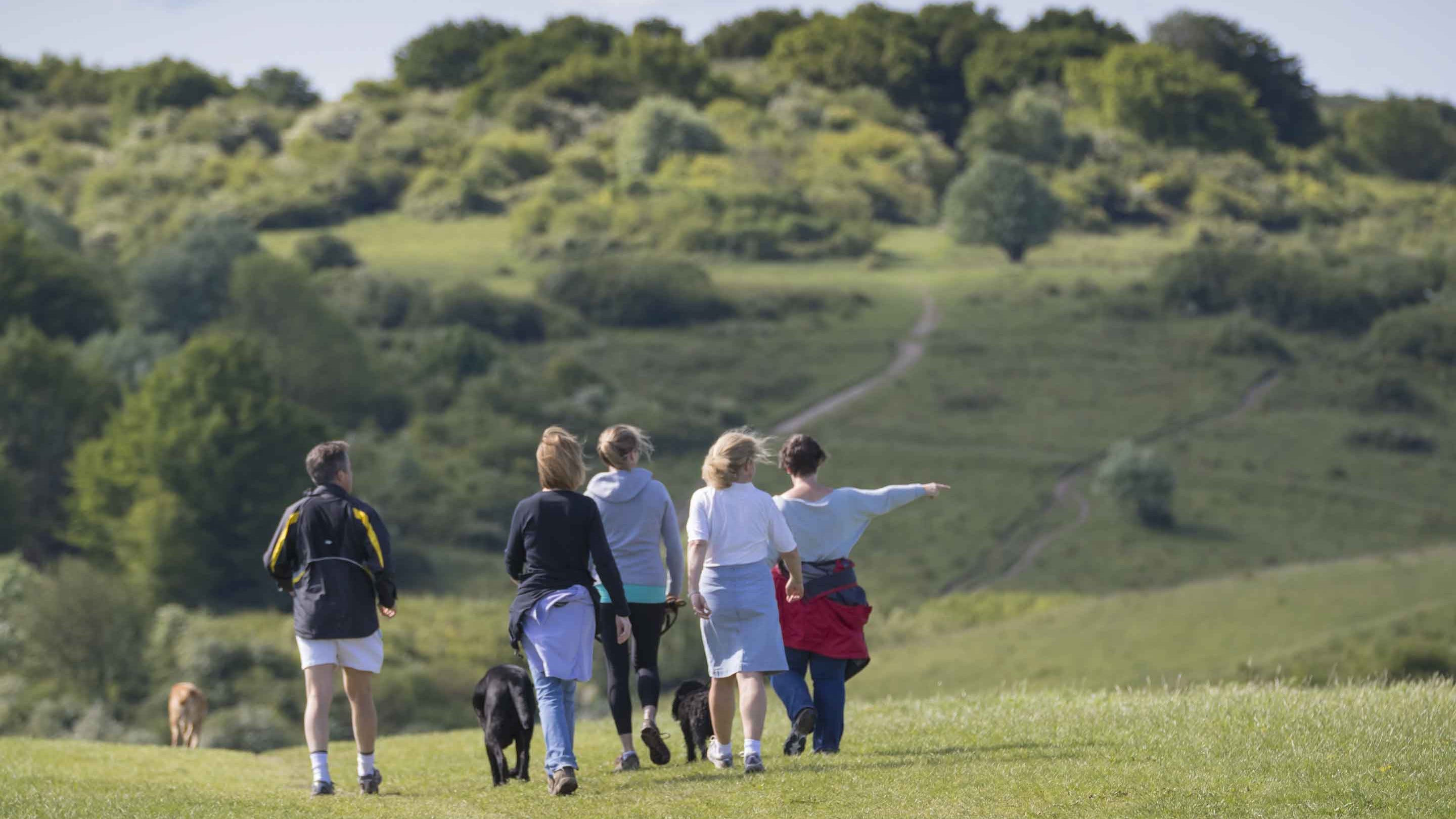 Visitors exploring the chalk downland at Ashridge Estate, Hertfordshire