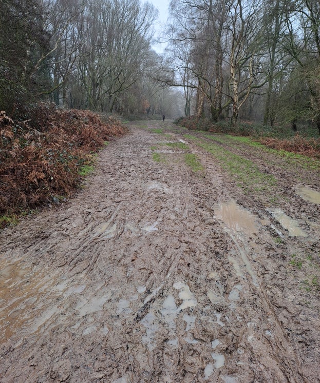 A muddy path at Ashridge Estate