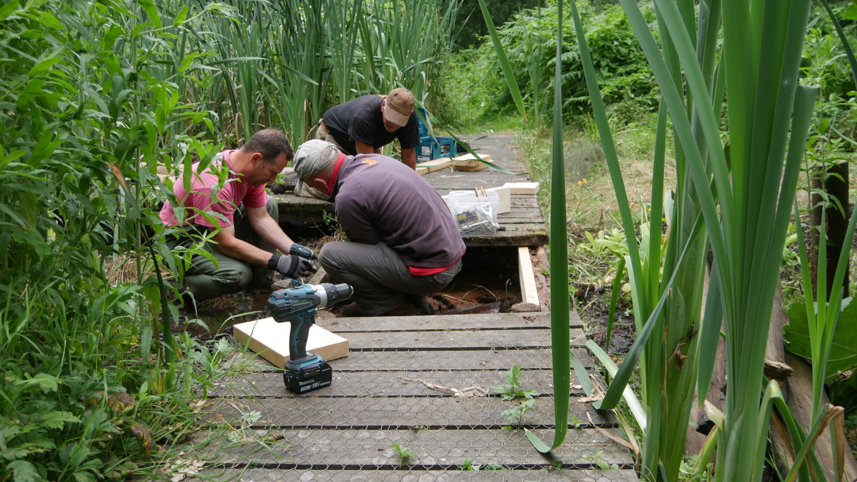 Staff and volunteers undertaking boardwalk repairs at Bourne Mill, Essex