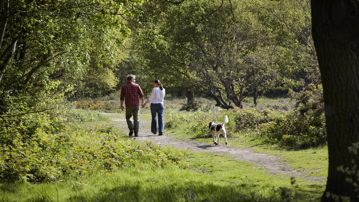Dogfriendly places in Essex, Beds & Herts National Trust