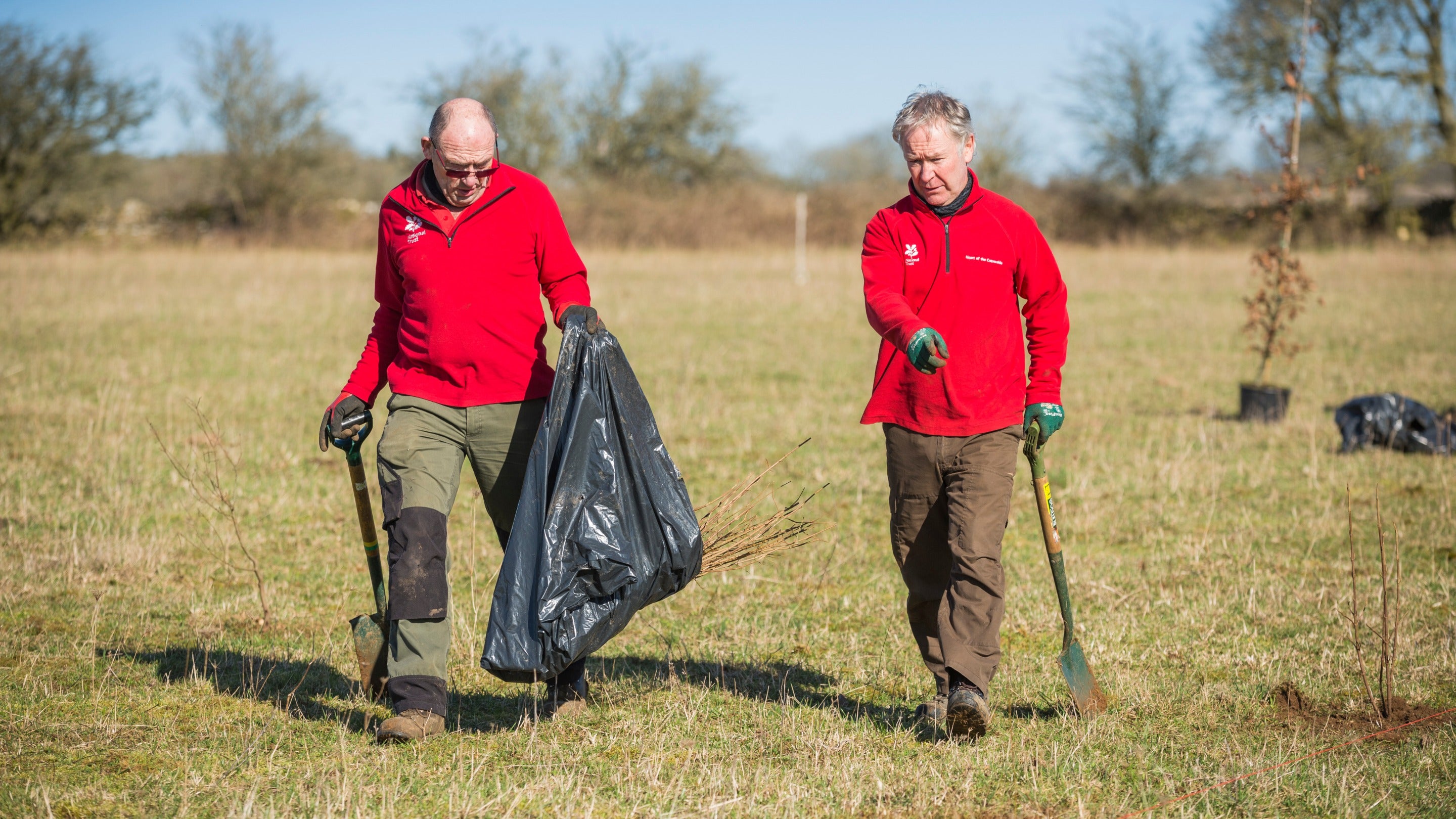 Tree planting on tenant farmland at Lodge Park, Gloucestershire